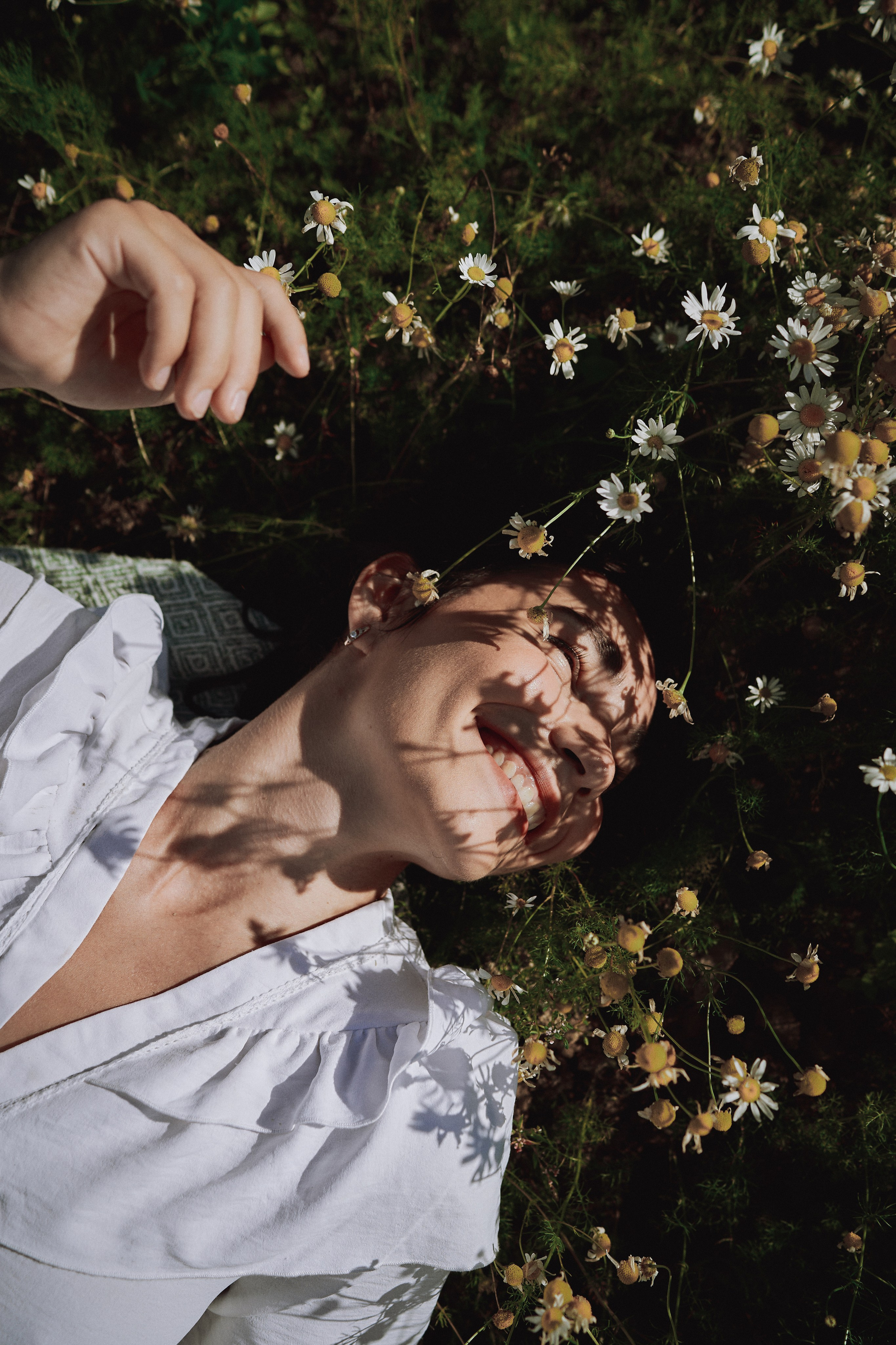 Поле с ромашками. Фотограф в Санкт-Петербурге | Аня Маленчук