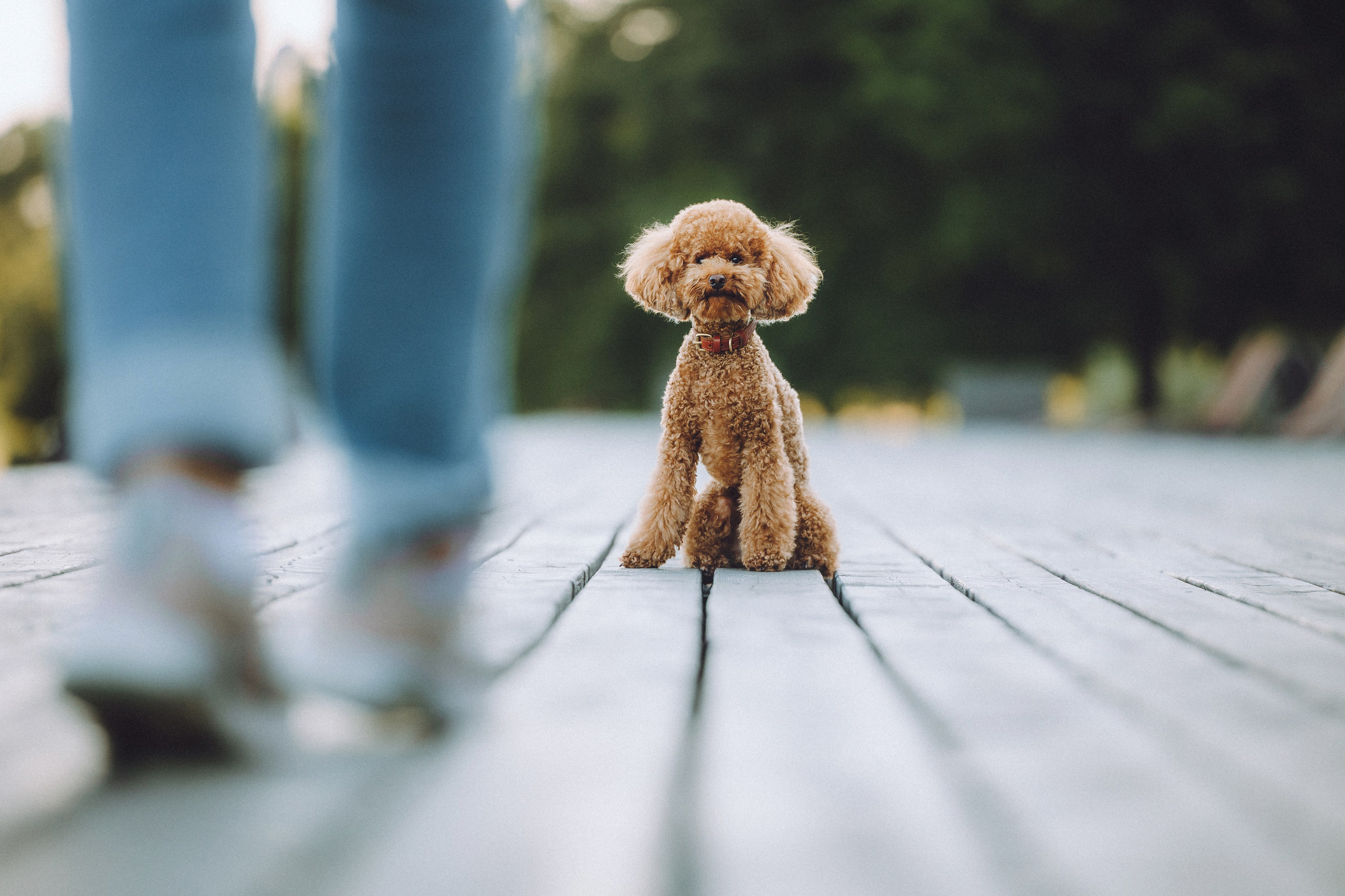 Марья и Буба