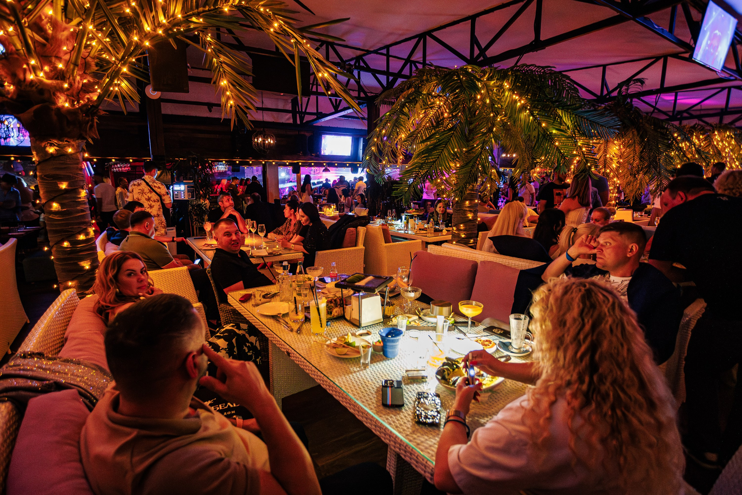 «АВРААМ РУССО"_Чайка на пляже_Ялта_21.06.2025. Аминов Руслан | Фотограф