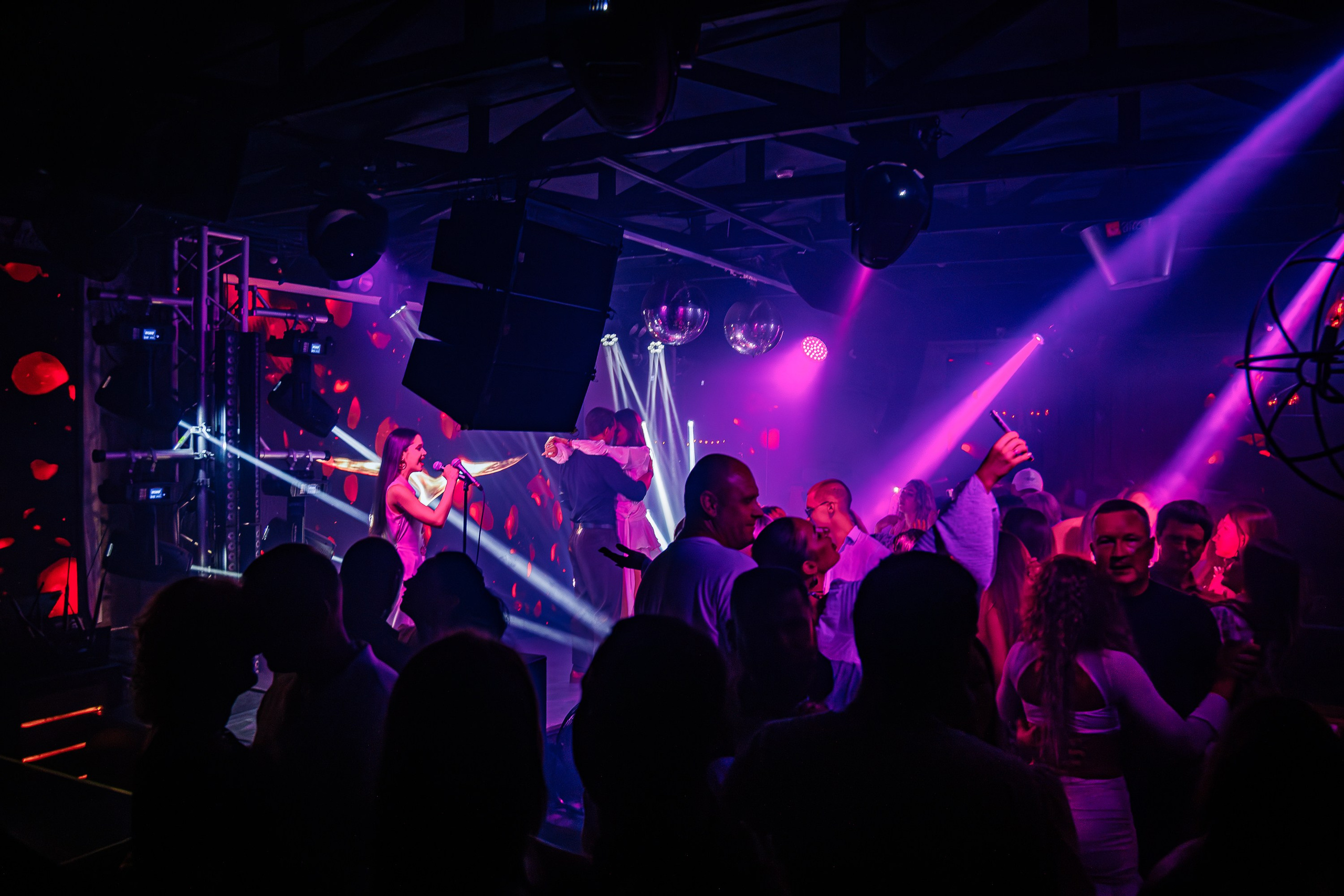 «Бьянка"_Чайка на пляже_Ялта_25.07.2025 г. Аминов Руслан | Фотограф