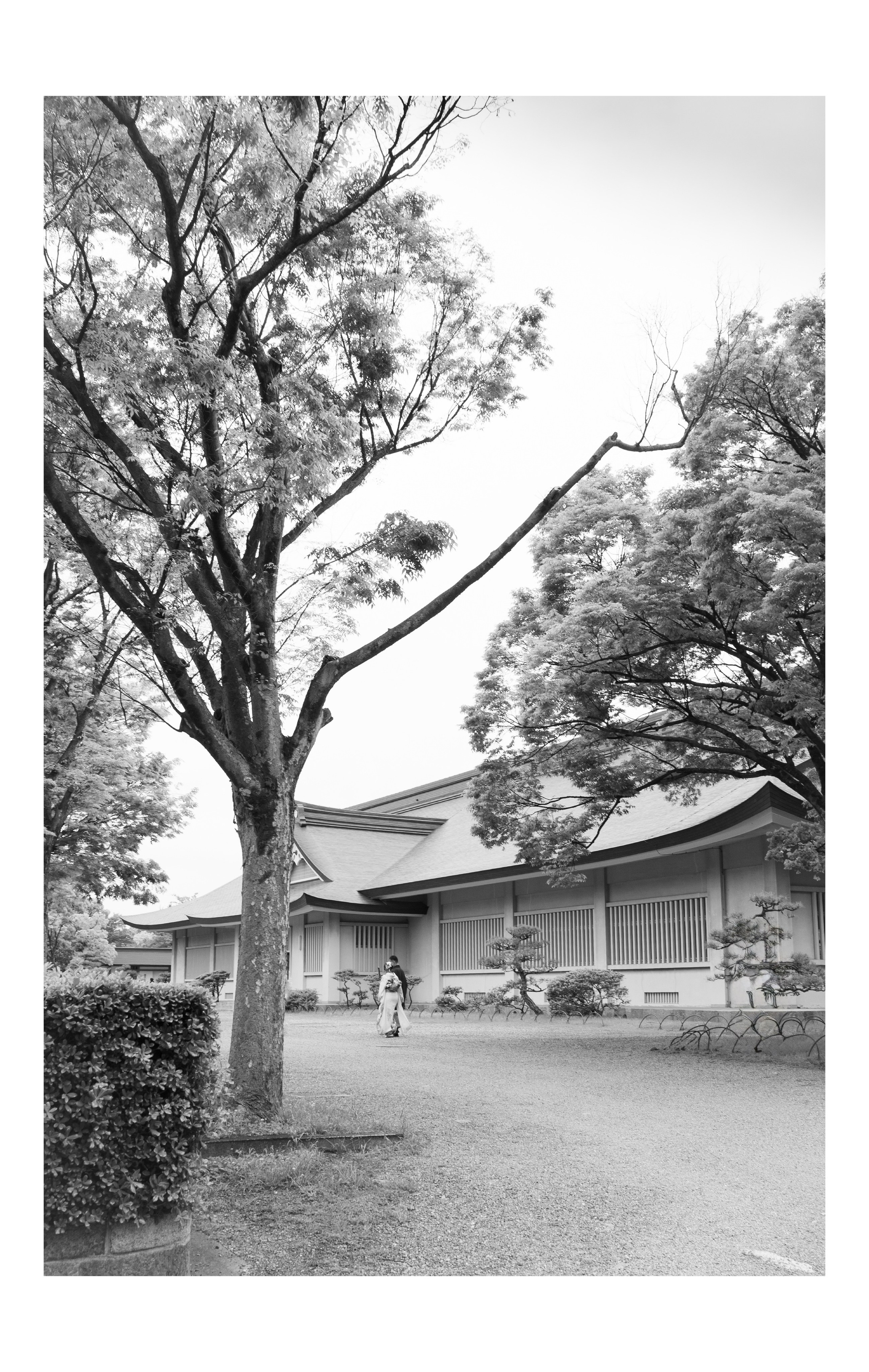 Япония. Фотографии Руслана Сайдалиева (Рус Сай)