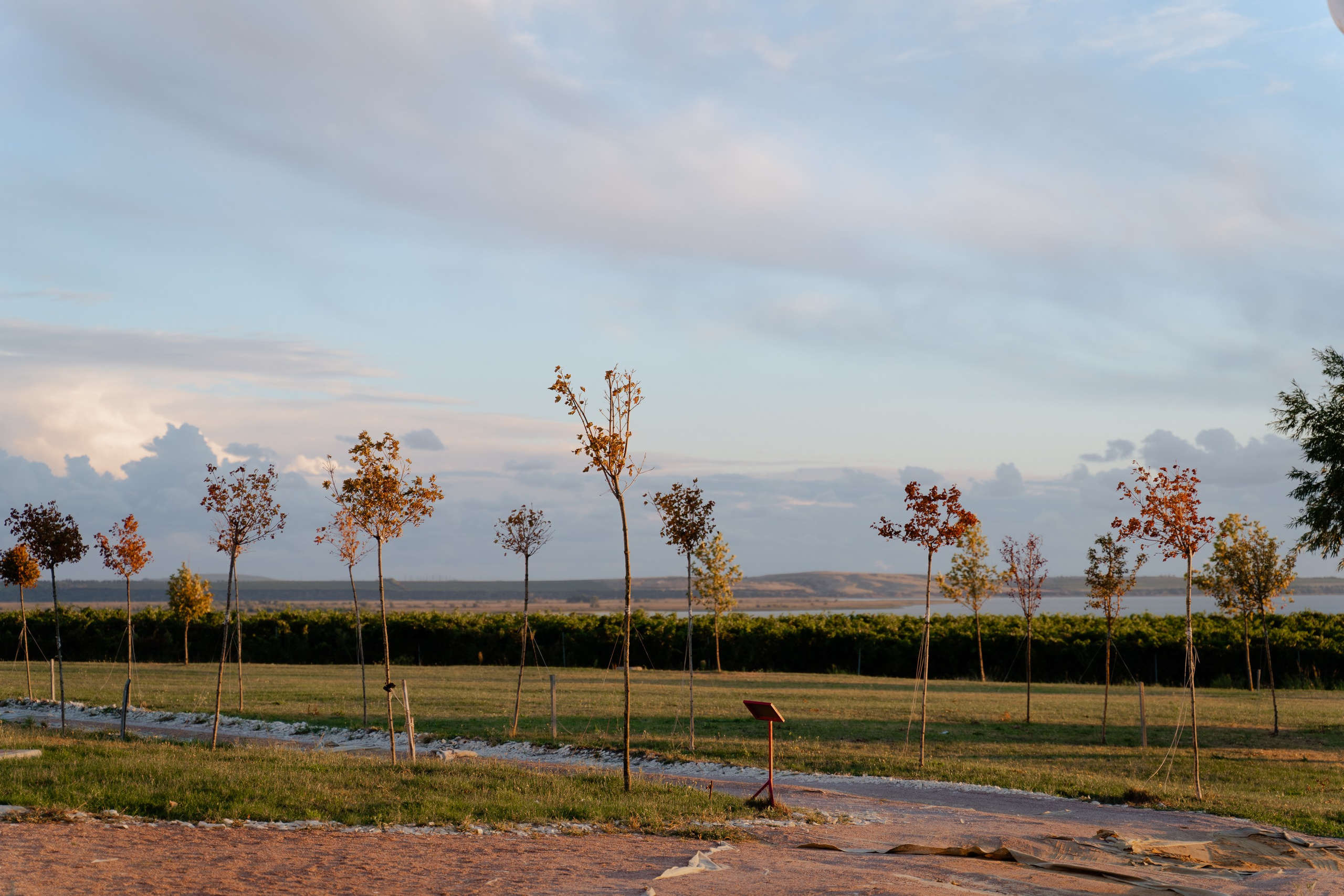 Valeria&Aleksеy. Портретный фотограф в Краснодаре Валерия Матирная