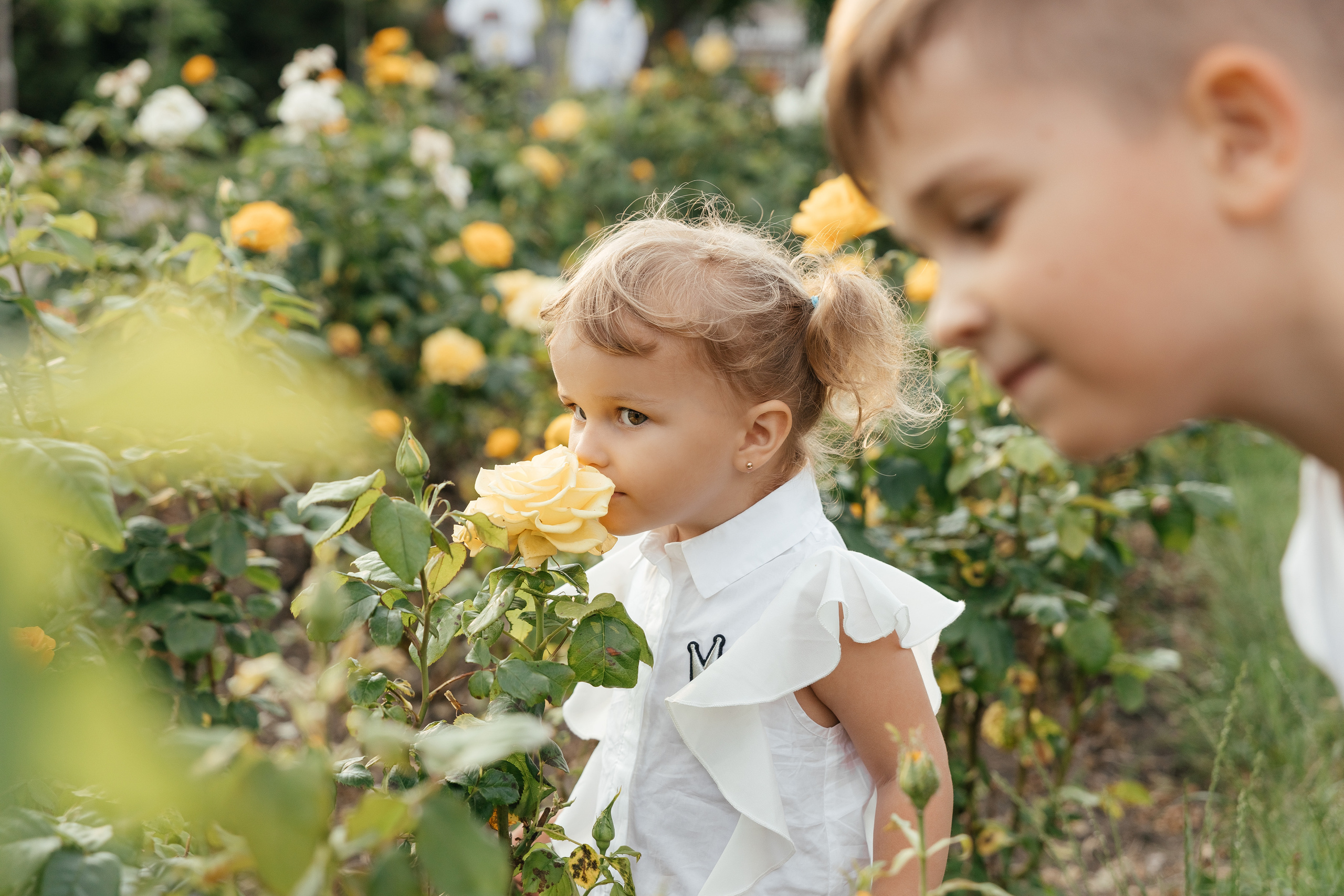 Семья Козловых. Миленина Юлия Свадебный и семейный фотограф в Краснодаре