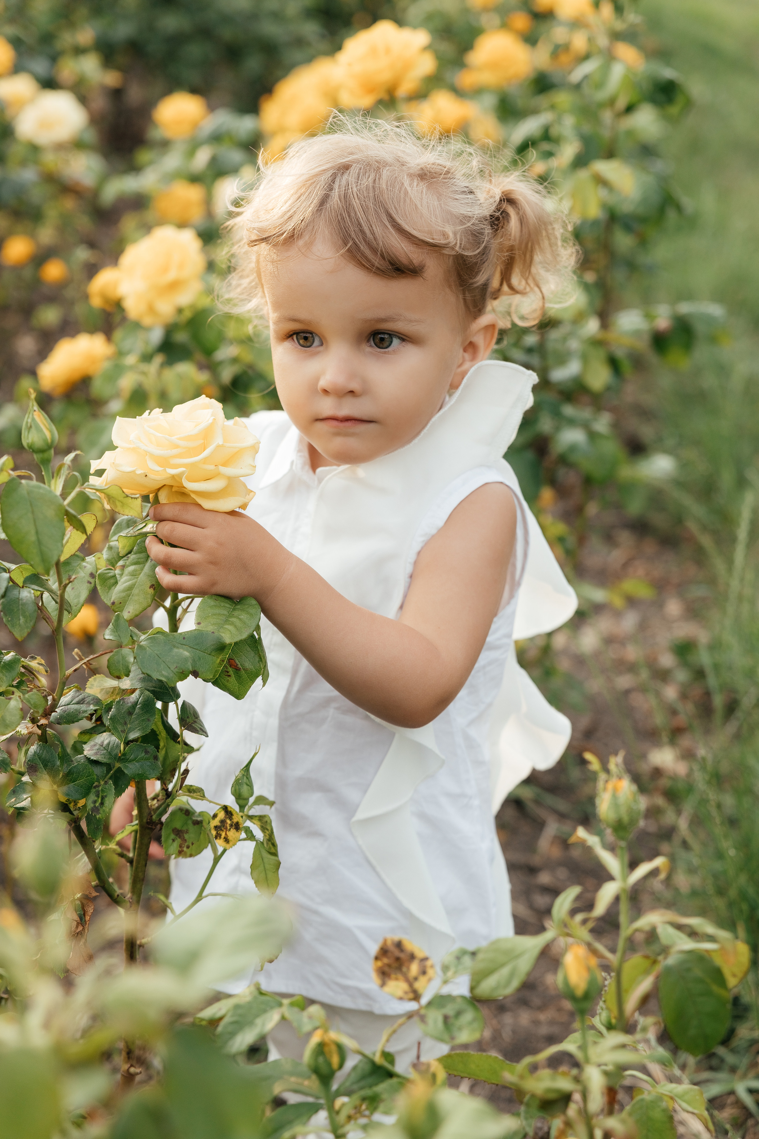 Семья Козловых. Миленина Юлия Свадебный и семейный фотограф в Краснодаре