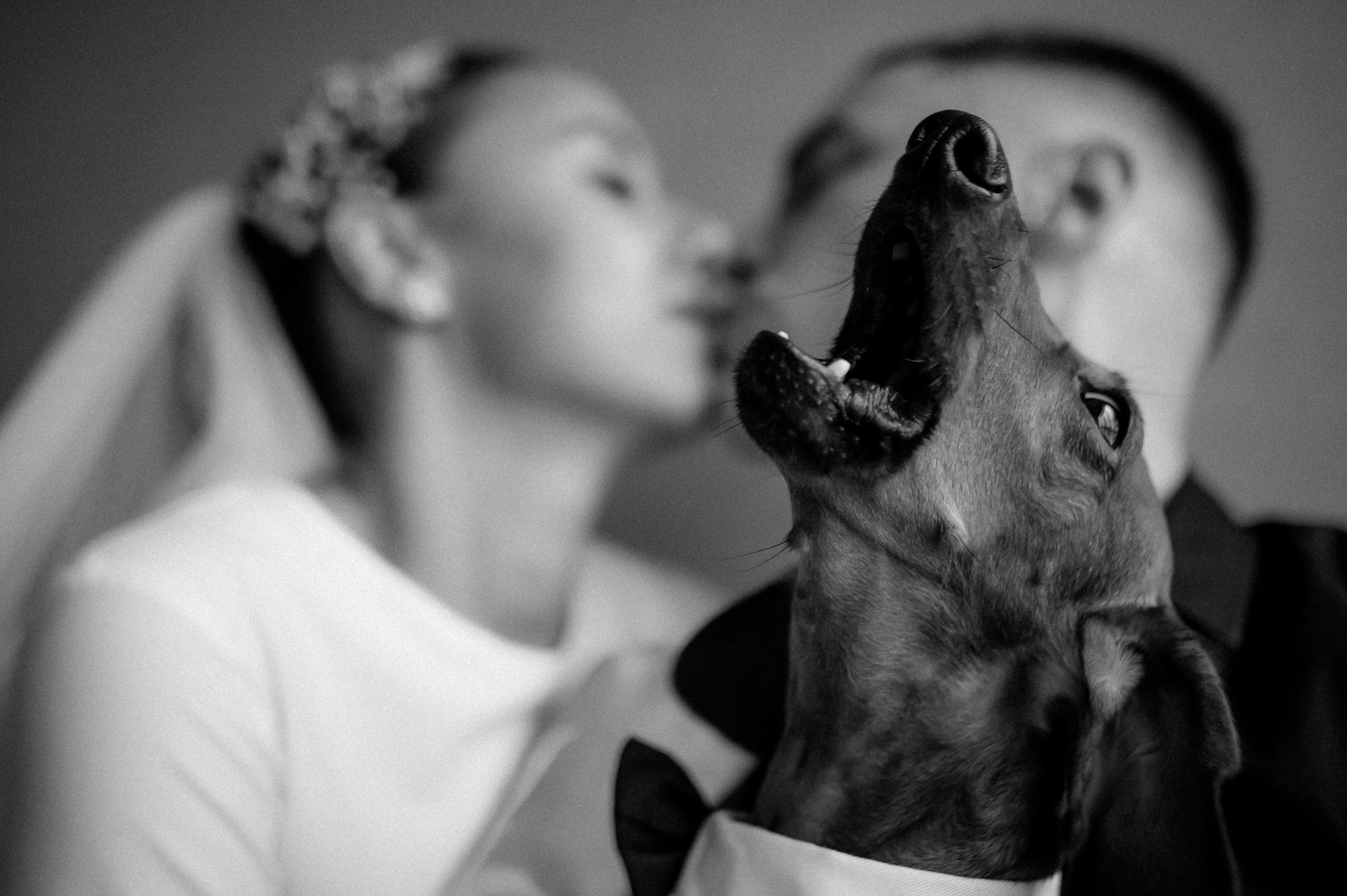 ЧЁРНО-БЕЛАЯ ИСТОРИЯ. Свадебный фотограф в Ставрополе Сергей Шляхов