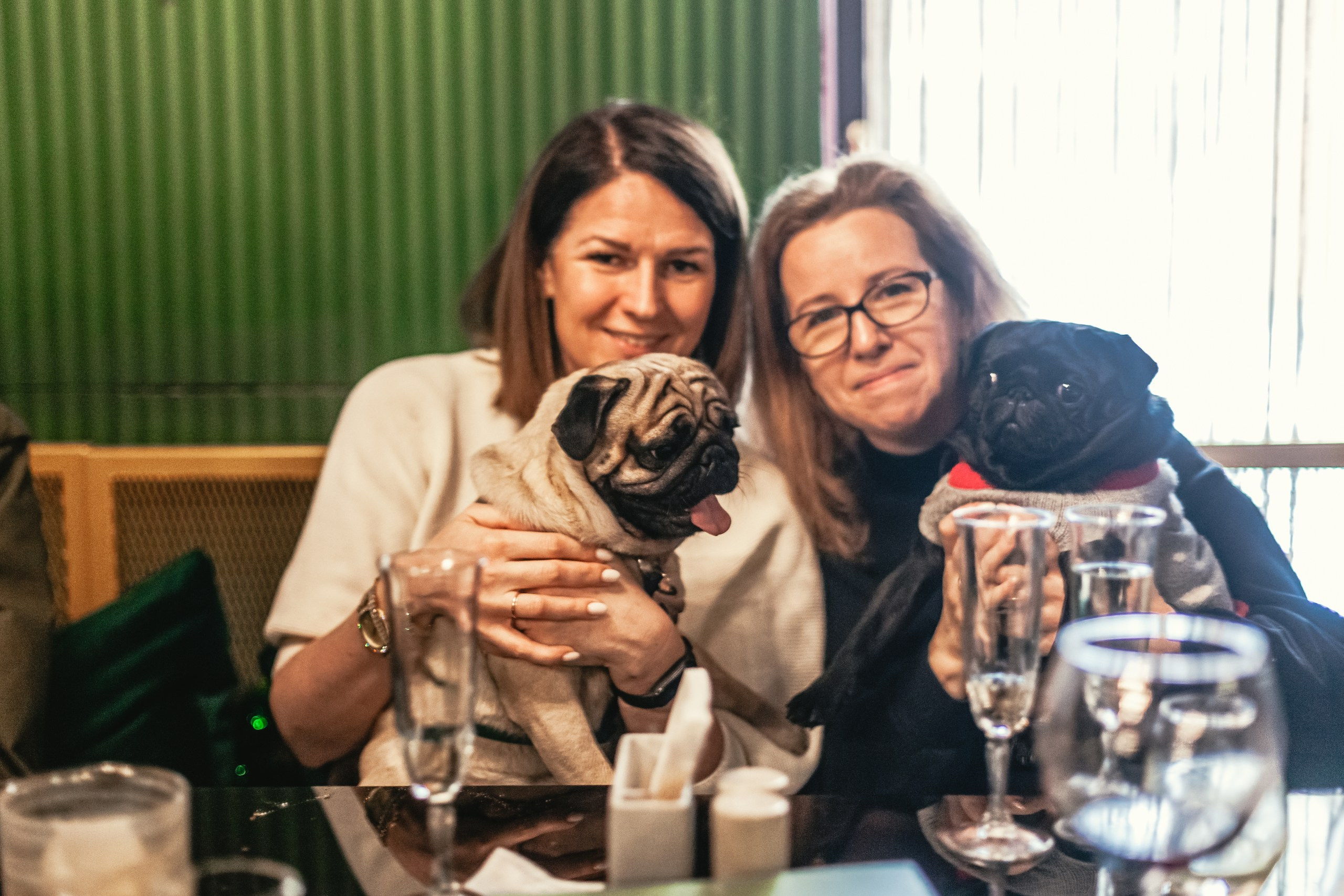 Мопсовстреча 02.12.2023. Фотограф-анималист Татьяна Степанова