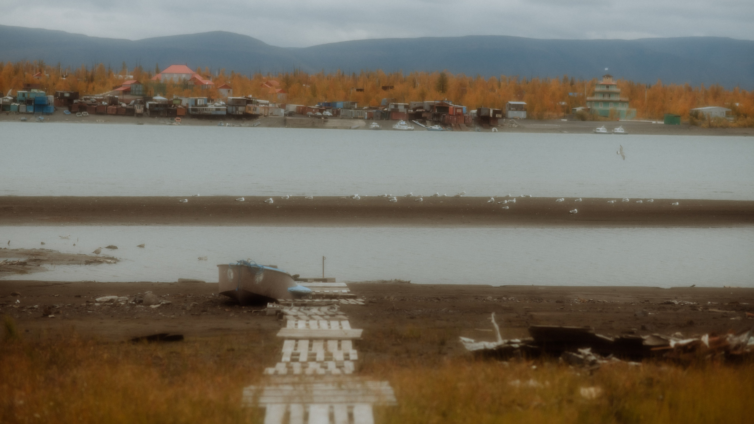 Love story на берегу реки. Фотограф и Видеограф Анапа, Новороссийск, Краснодар. Алина и Женя