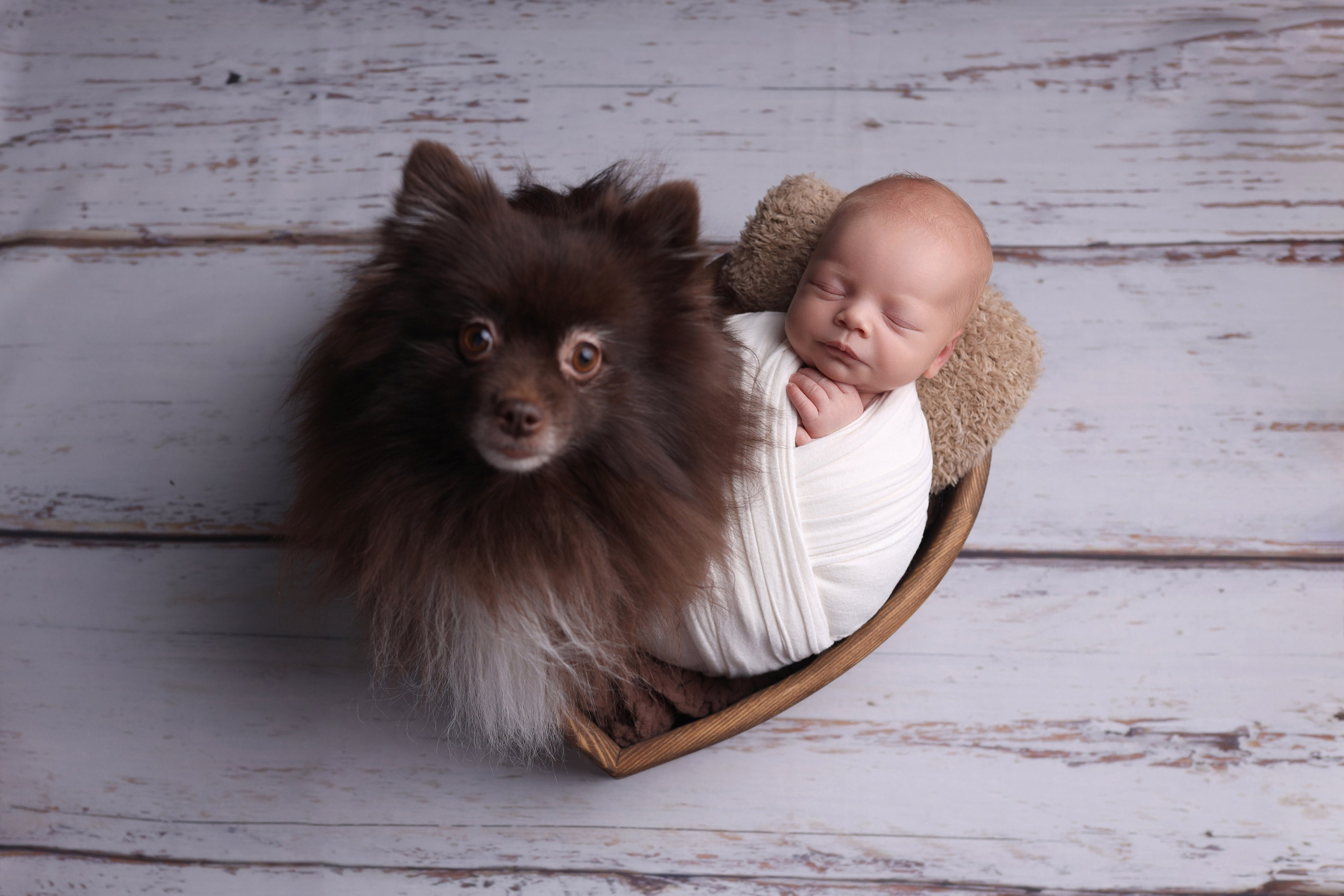 Newborn мальчики. Фотограф новорожденных Модяева Ирина