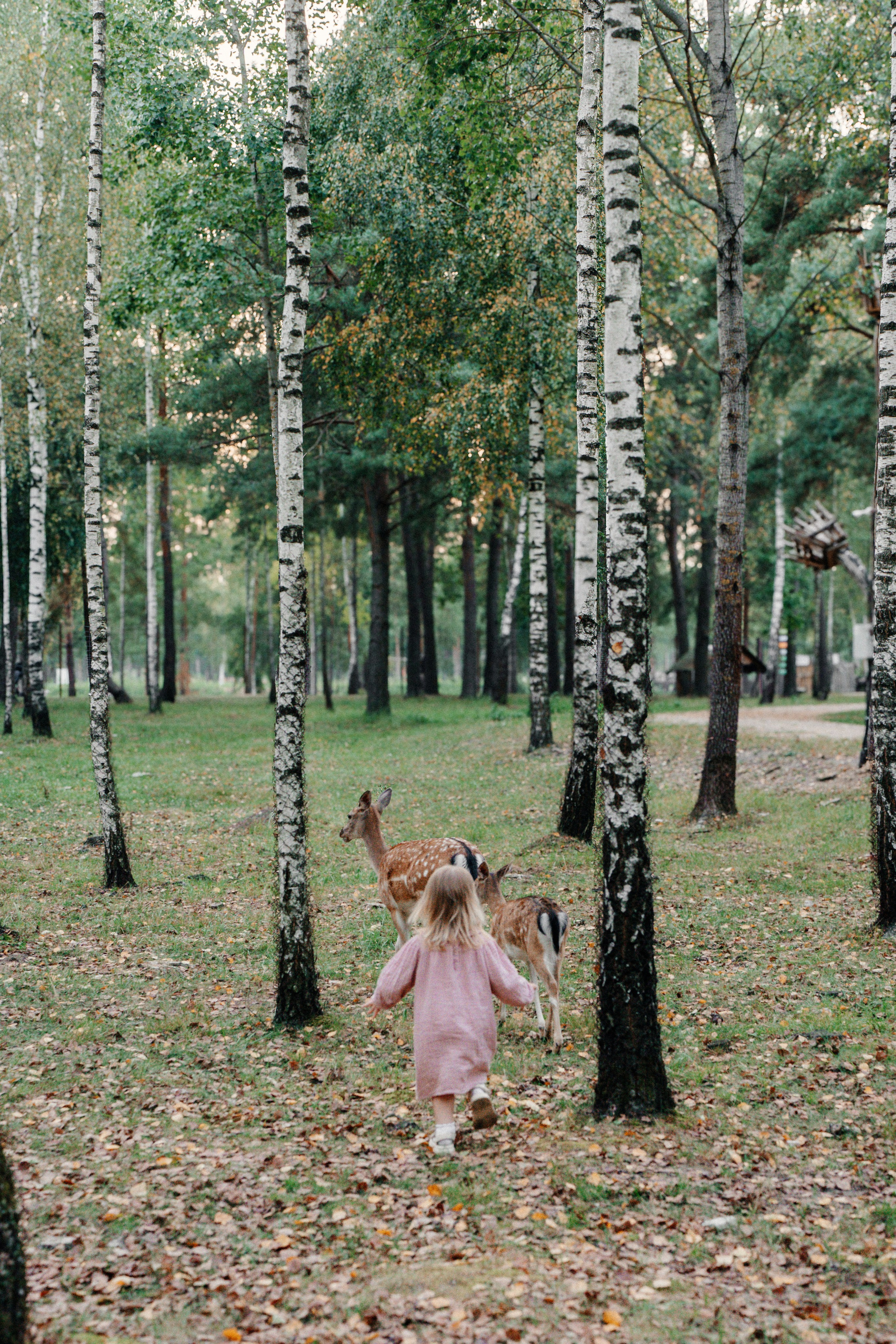 Диприз — в мире диких животных. Ваш семейный фотограф в Минске — Вика Трегубова