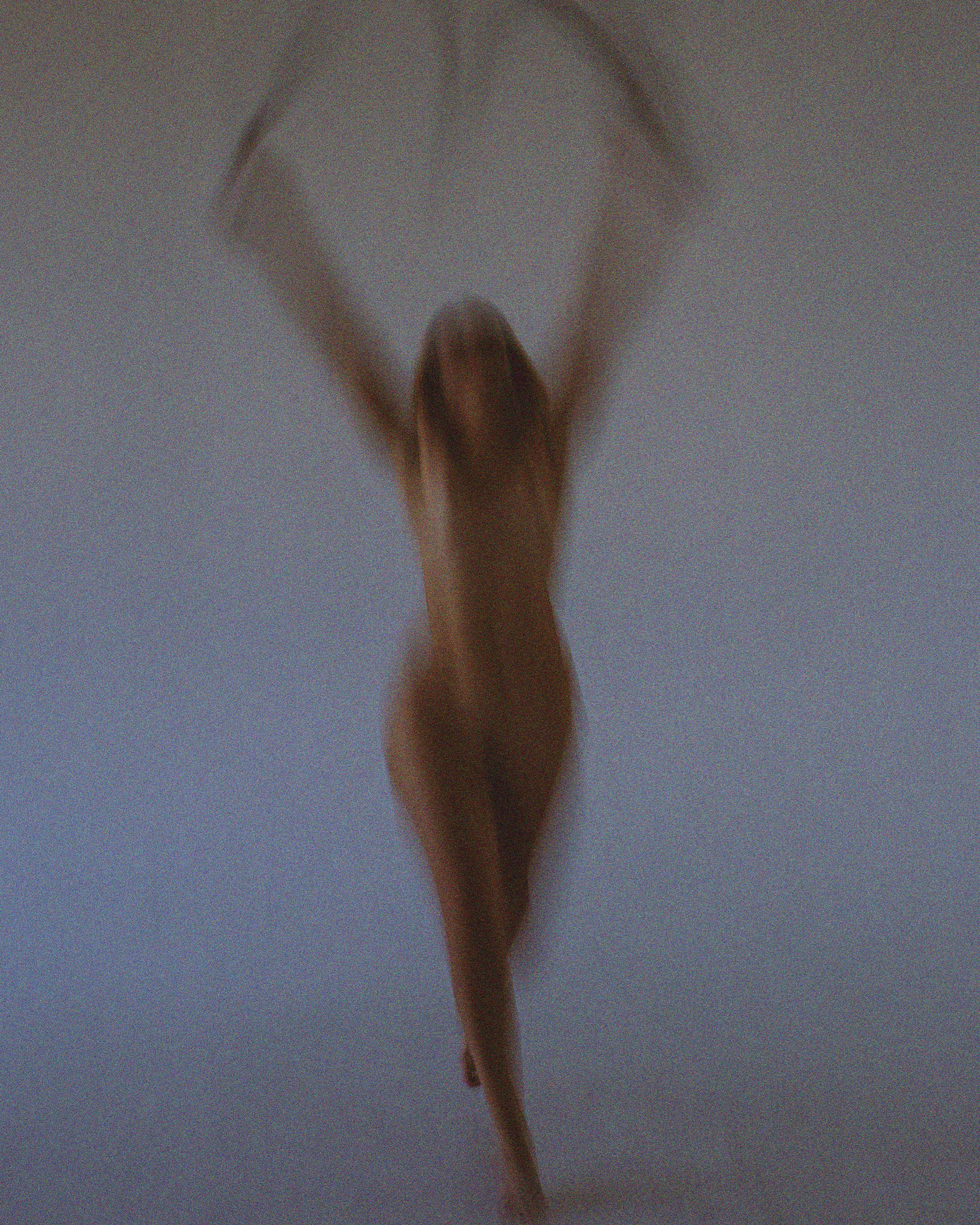 Lines. Masha Obatnina