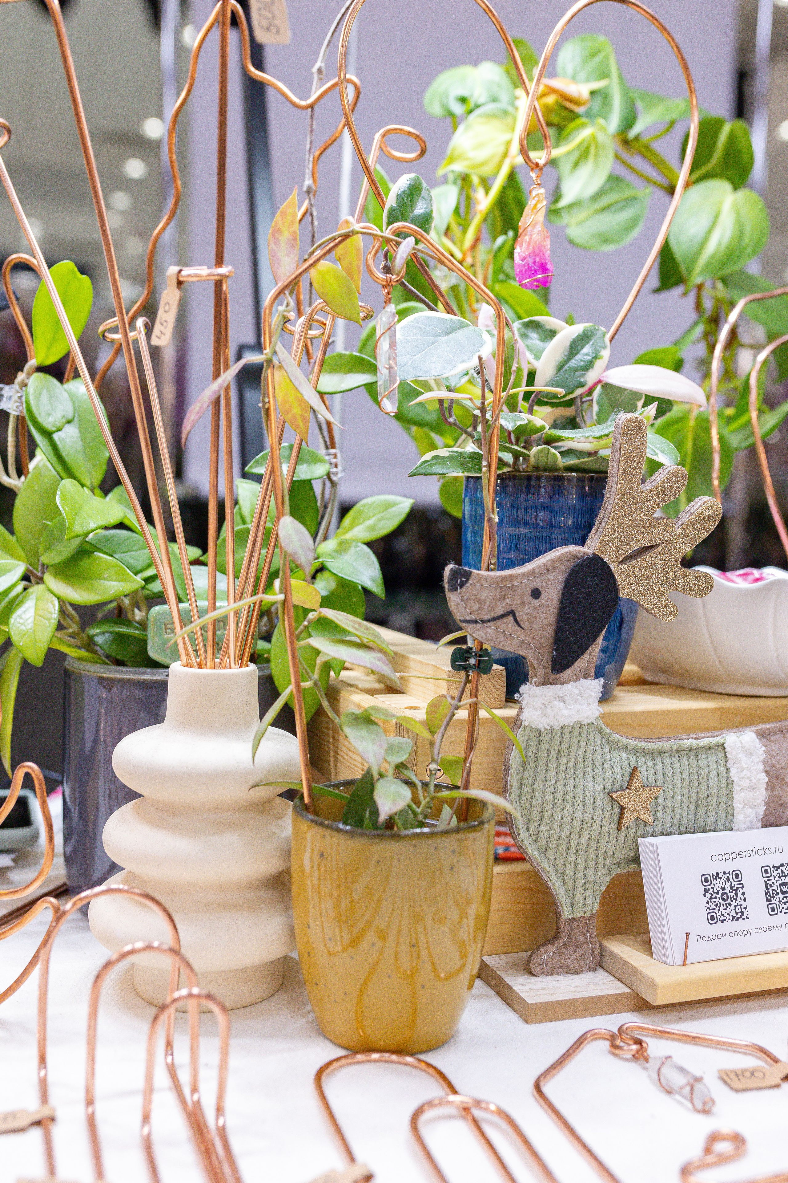 Орхидиум 12.2025. Александра Куликова фотограф, Москва