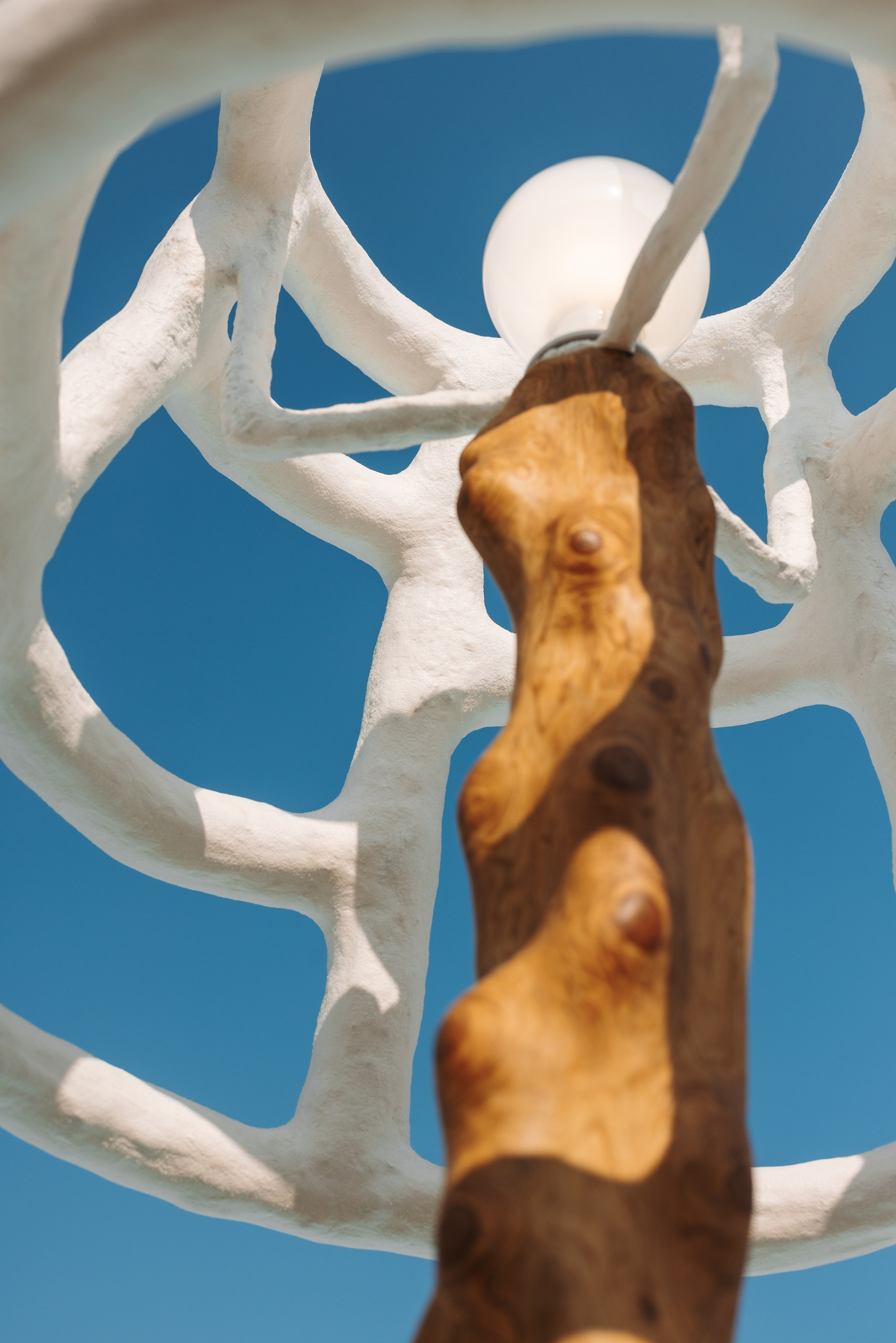 Kseniya Torgashina Designer. Фотограф на Юге России