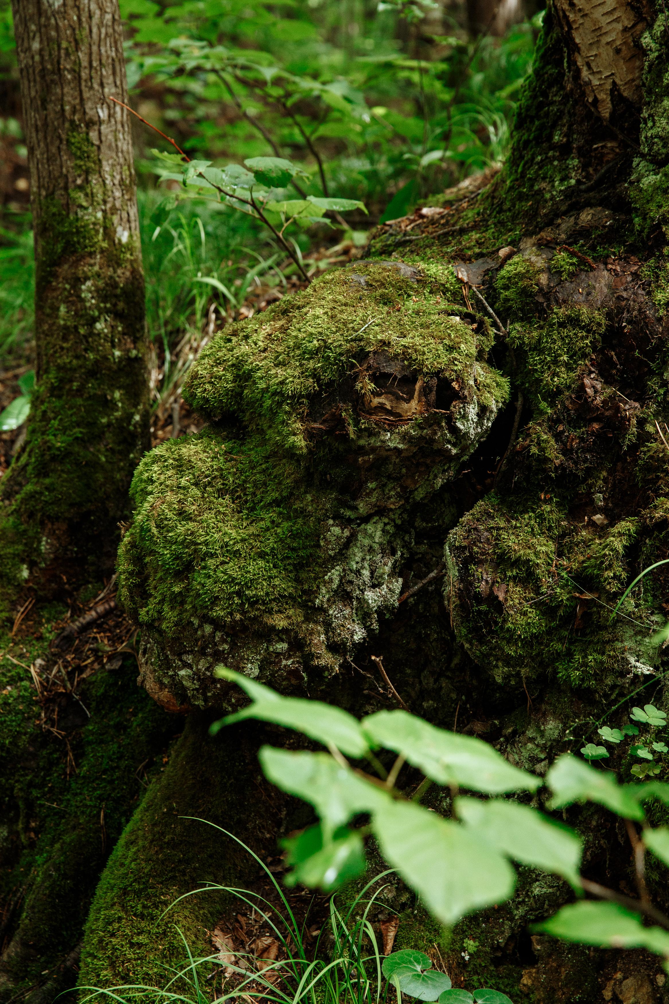 Ичалки. Свадебный и портретный фотограф в Нижнем Новгороде и Нижегородской обл