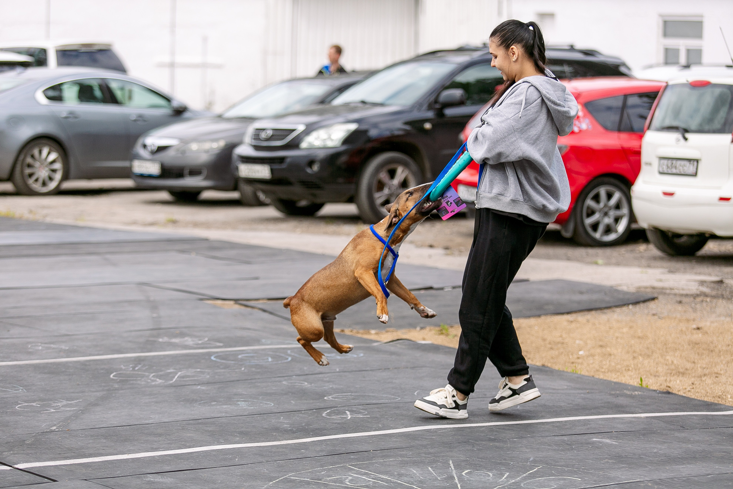 Окунулась вновь в атмосферу выставки…. Школьный фотограф в Туле Светлана Привезенцева