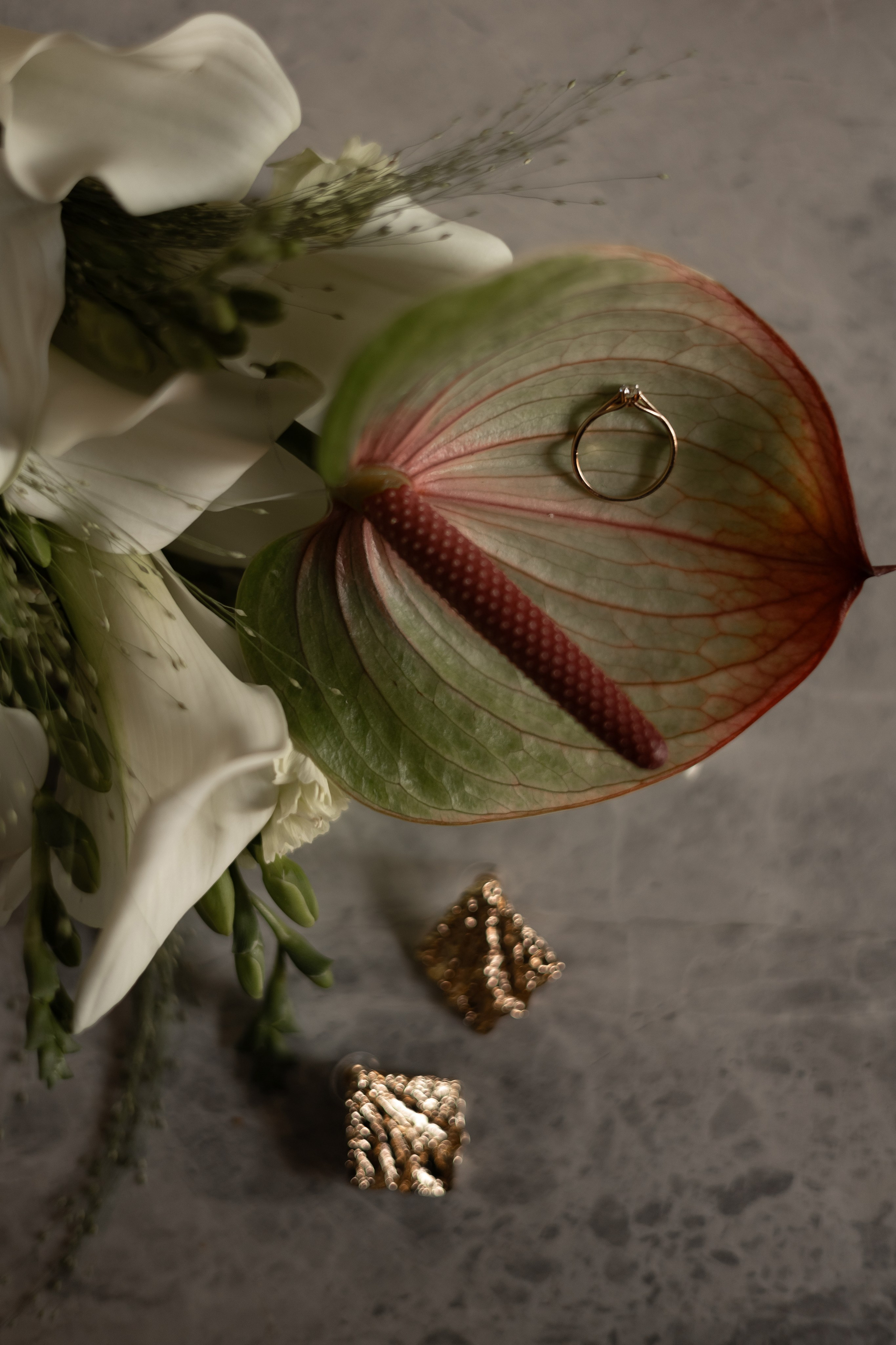 Серая кошка и рыжий кот. Свадебный и семейный фотограф Арина Кулёва