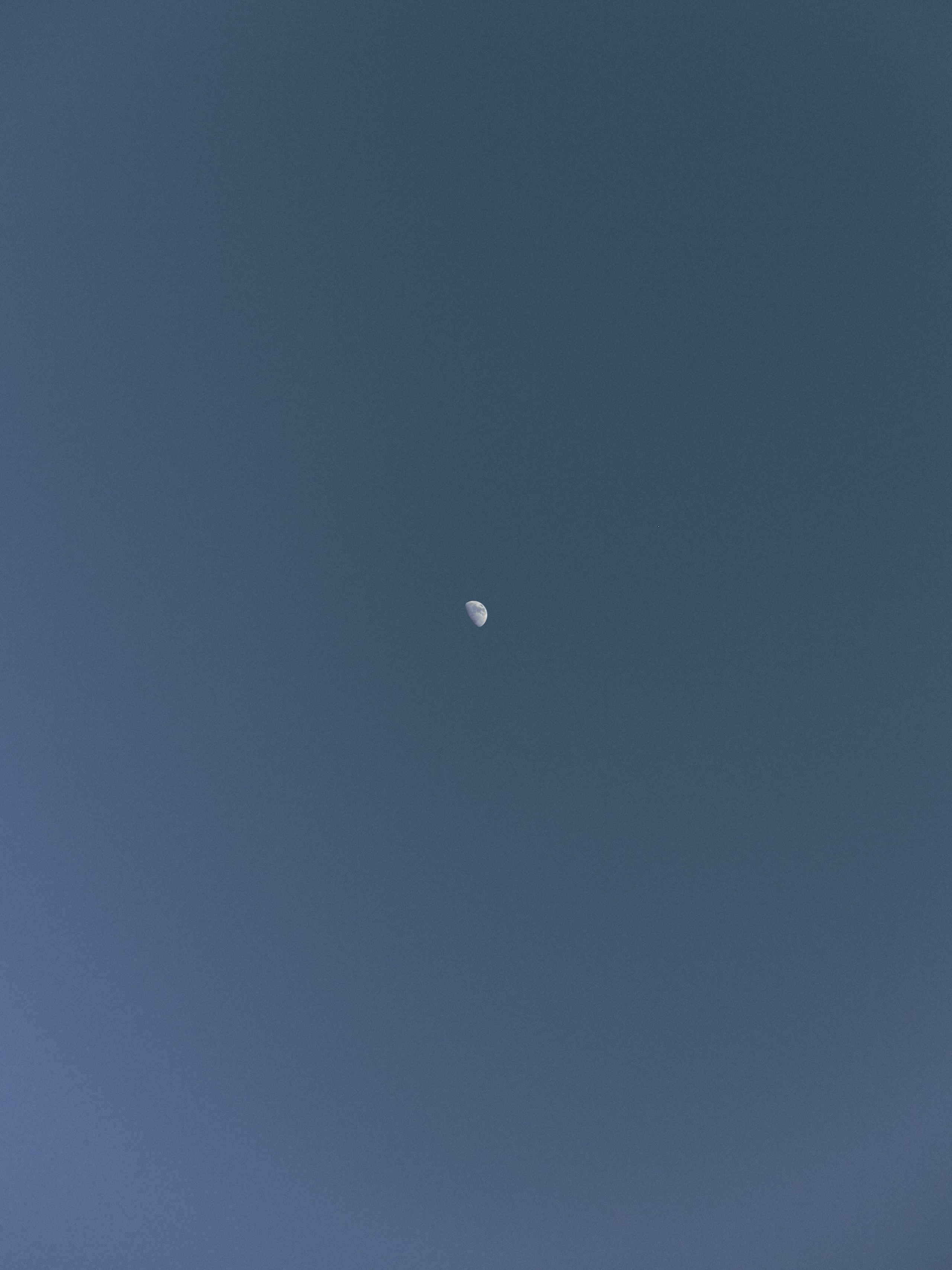 Природа. Jorgis Talè — photographer, kind person, teacher of arts and other mag