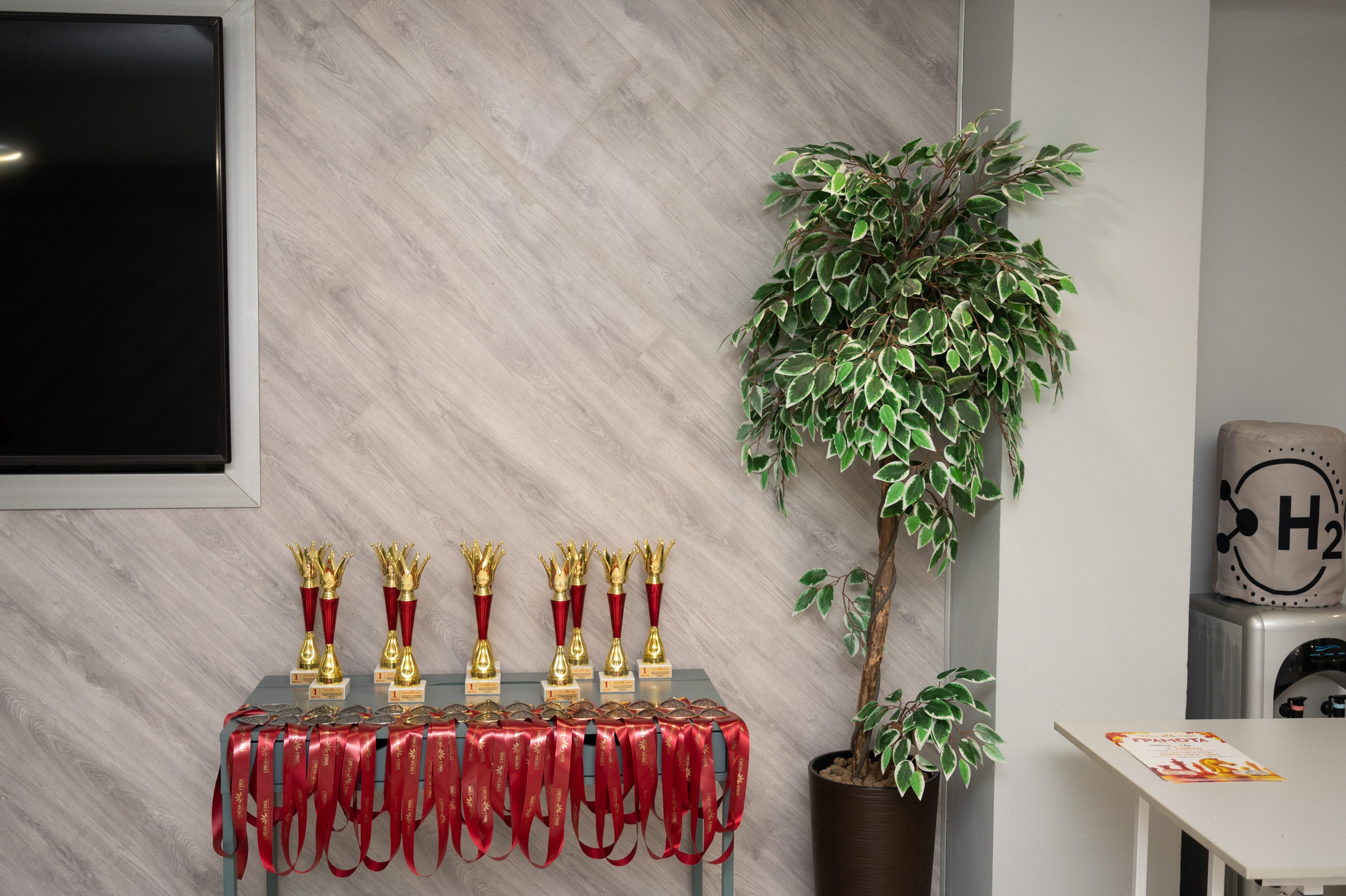 Турнир по быстрым шахматам «ОСЕННИЙ КУБОК"♟. Фотографирую счастливых людей в Сочи