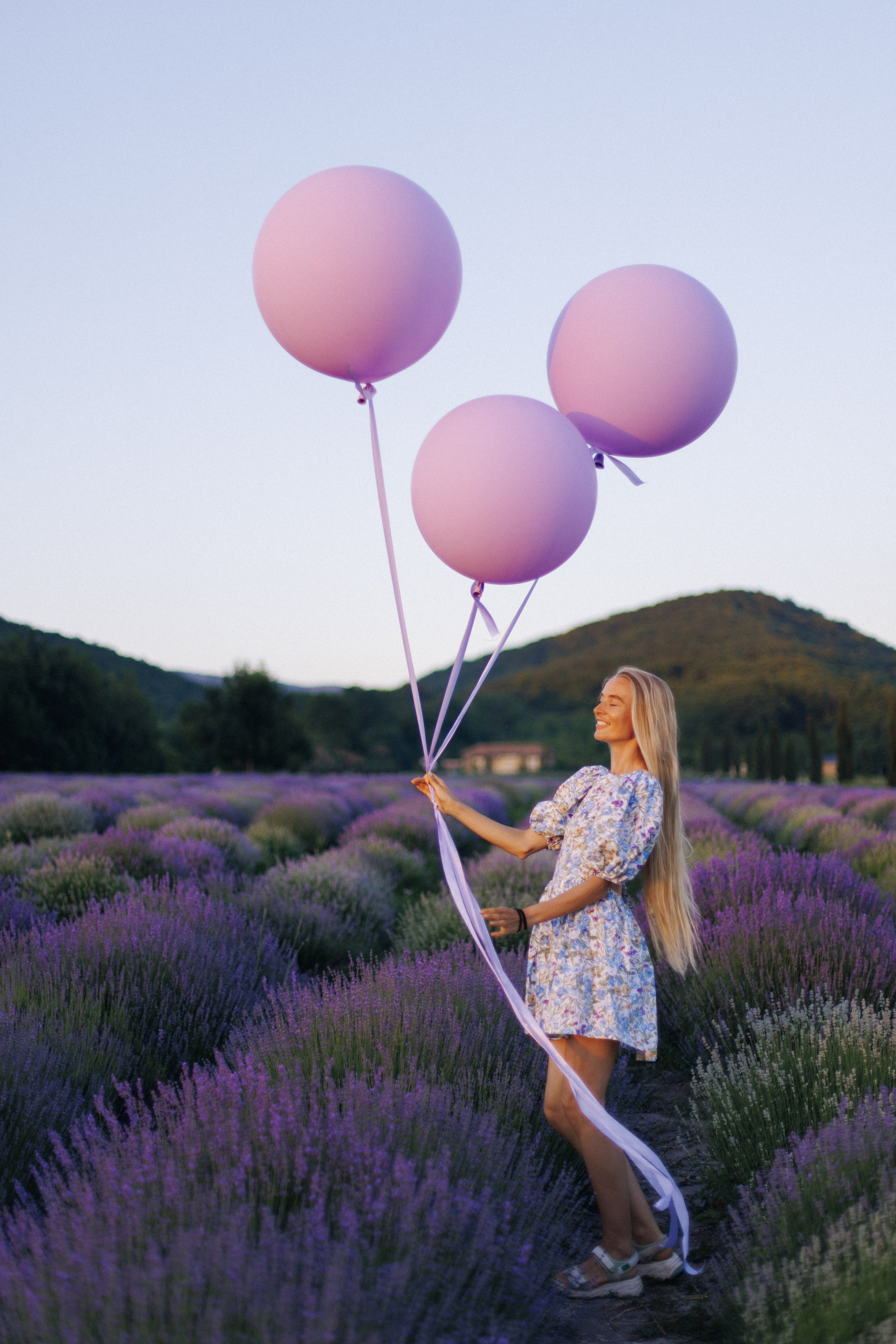 Lavender Sunset. Фотограф на Юге России