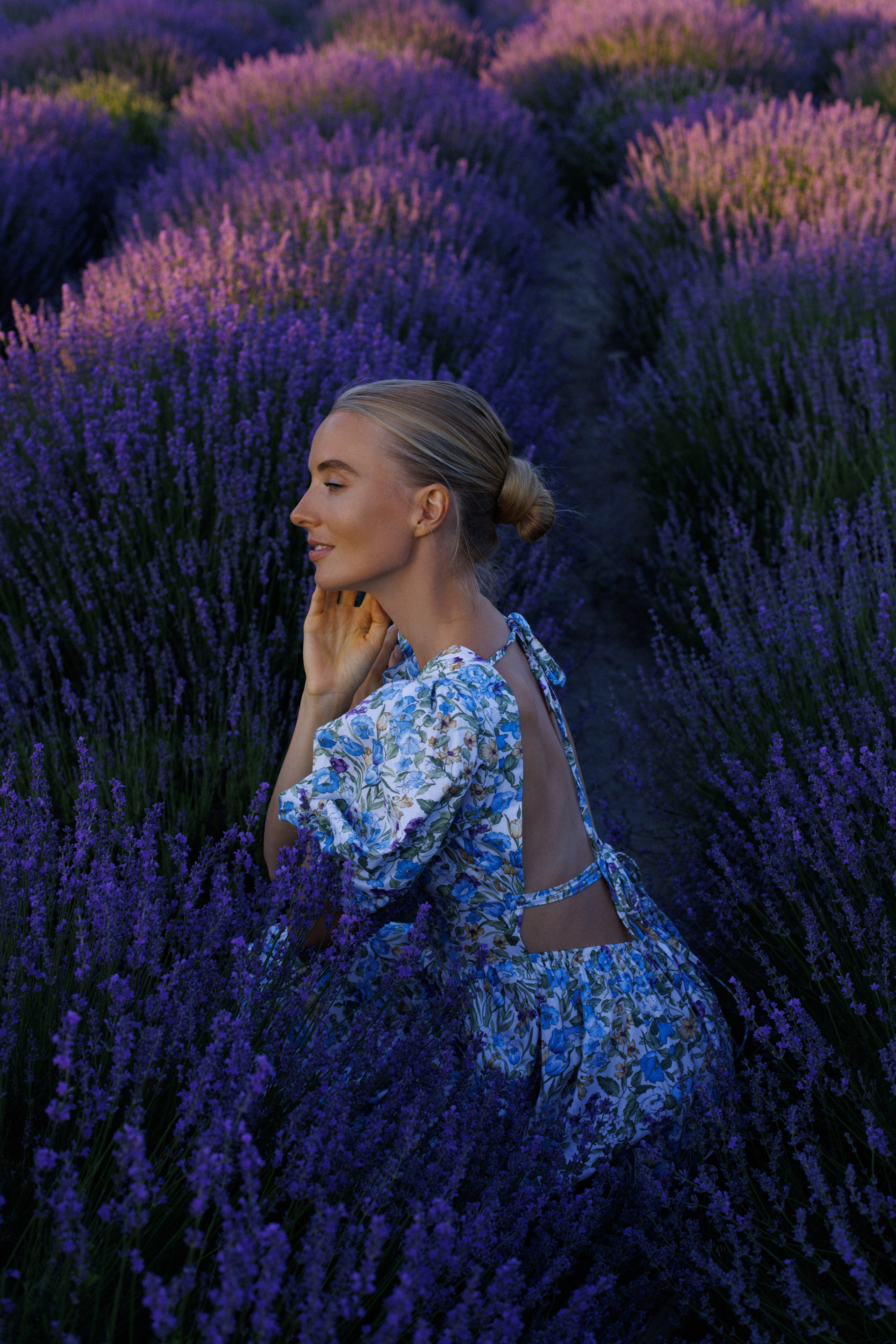 Lavender Sunset. Фотограф на Юге России