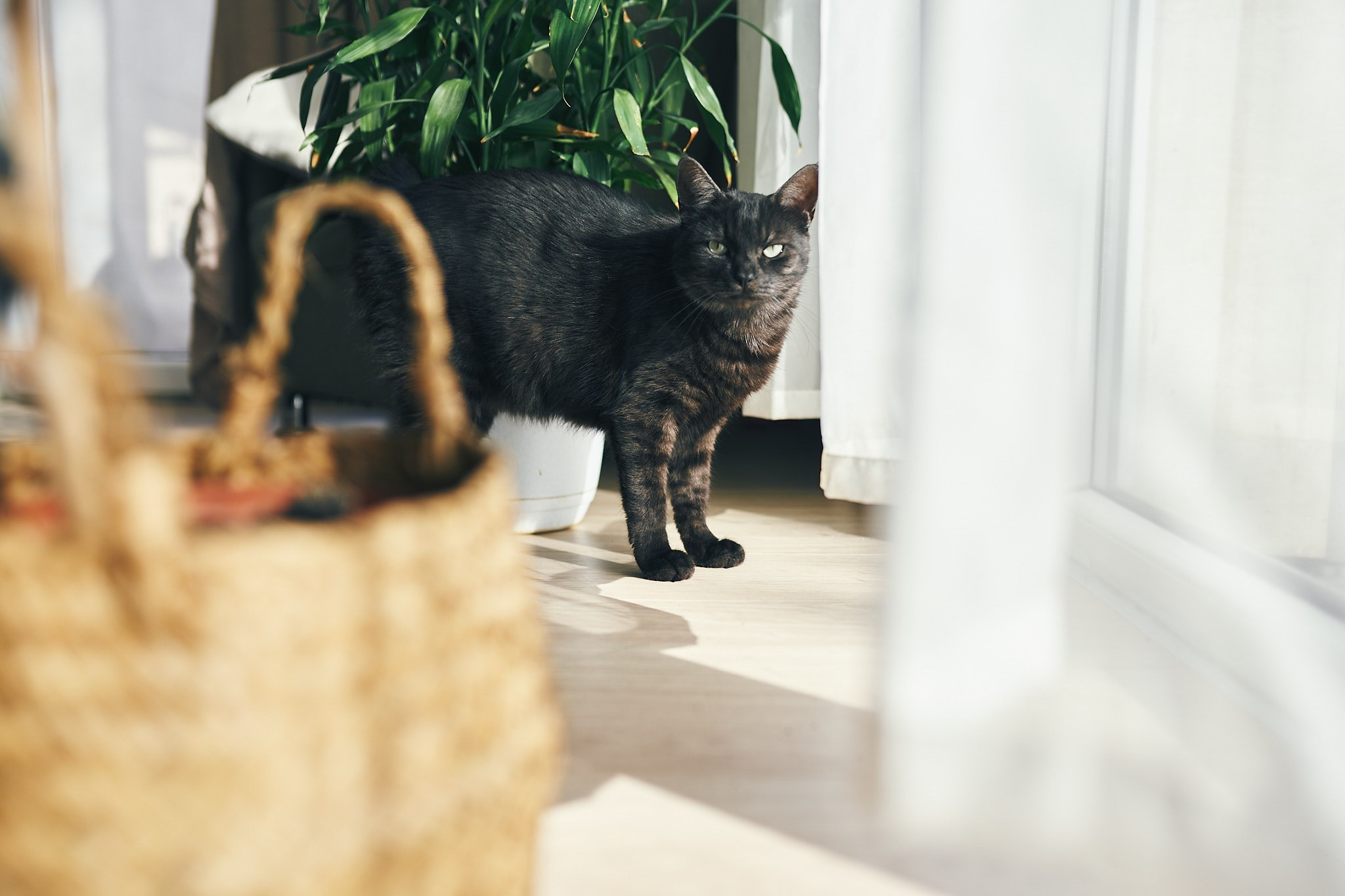 Репортажная съемка йога класса на берегу моря. Фотограф в Сочи Катя Гончарова