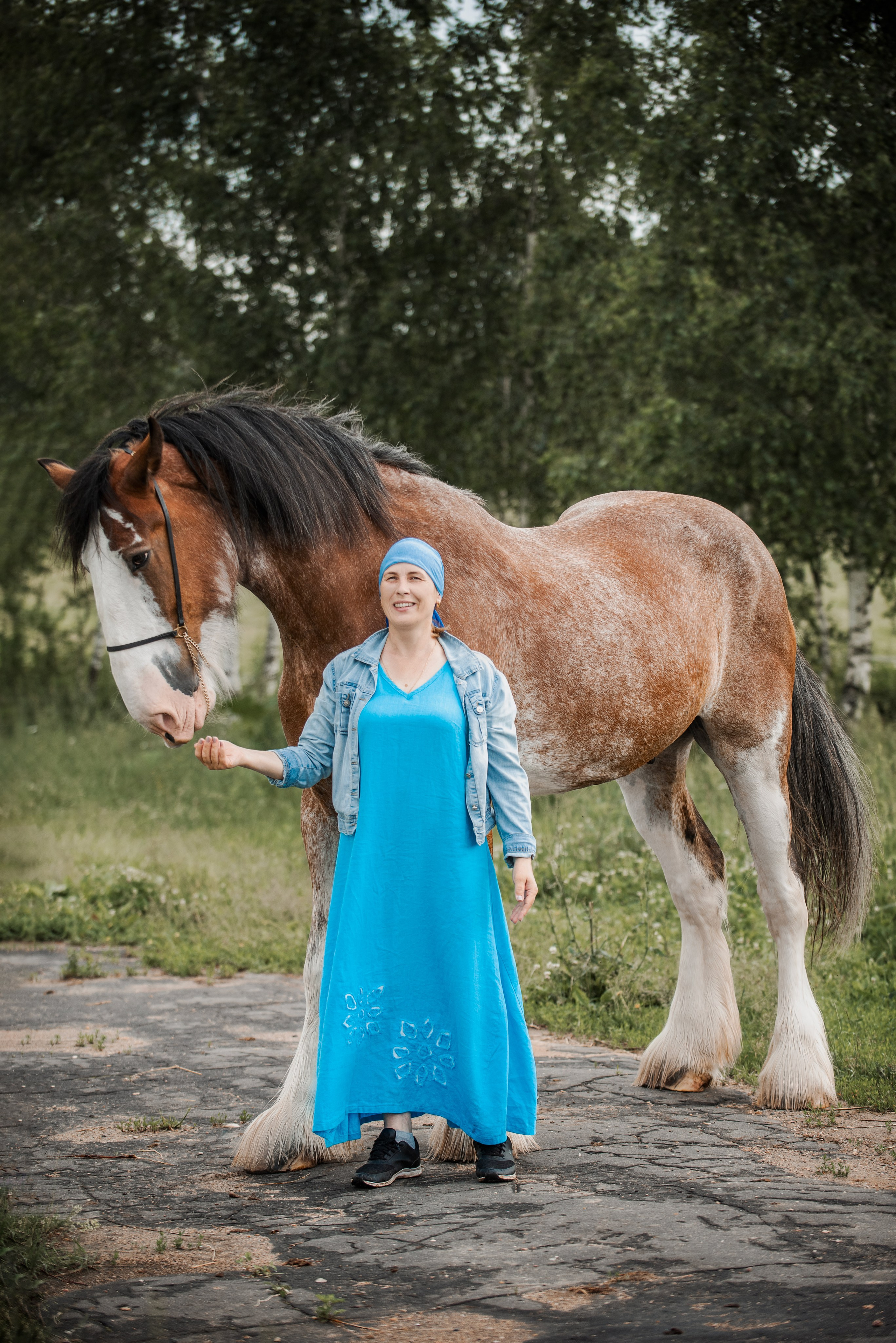 KOMARDINS. Конный фотограф Куракина Дарья • Фотосессии с лошадьми