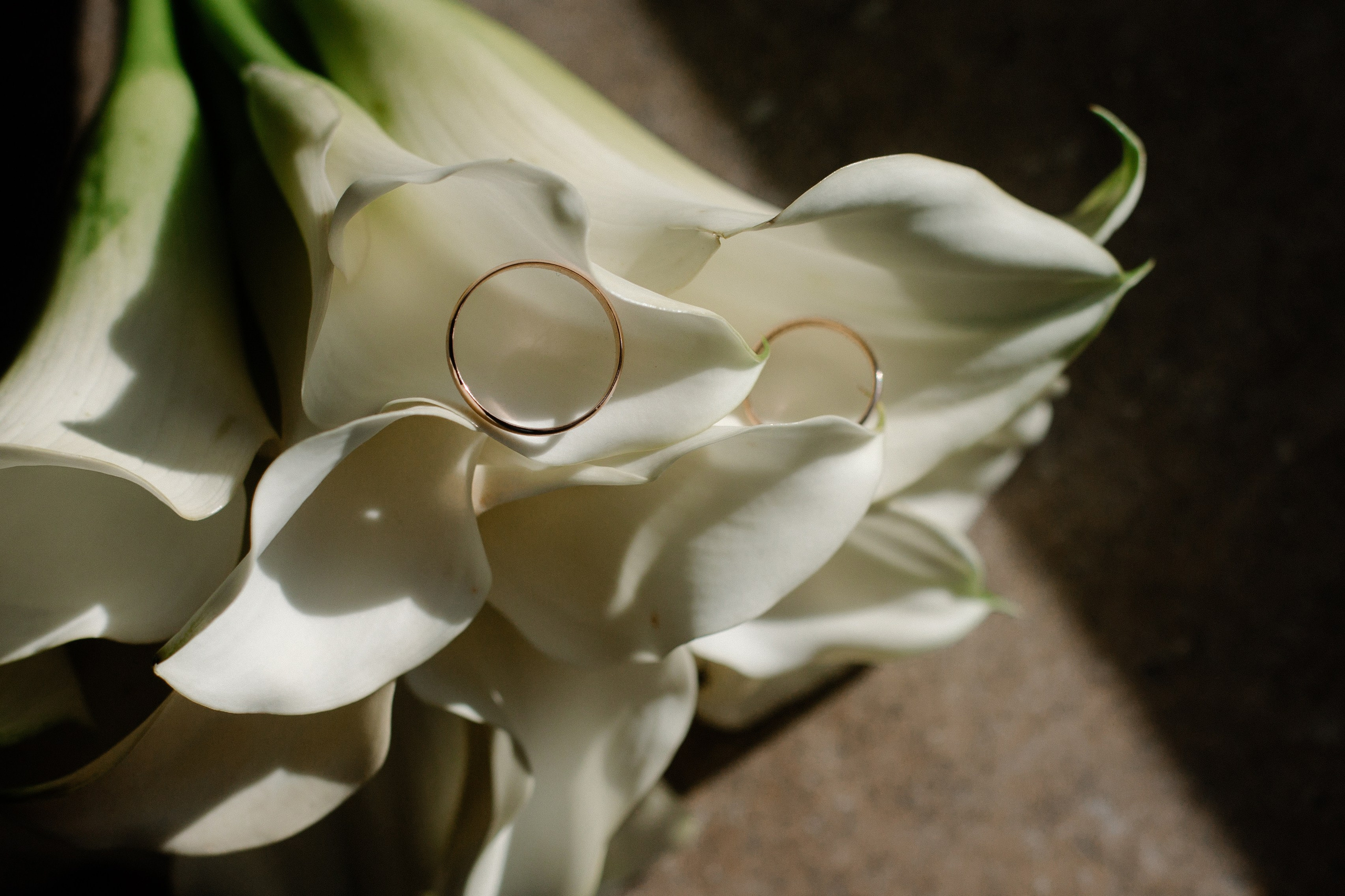 Владислав и Анастасия. Mini. 08.10.2022. Семейный, портретный и свадебный фотограф в Москве и Одинцово Лощинина Мария