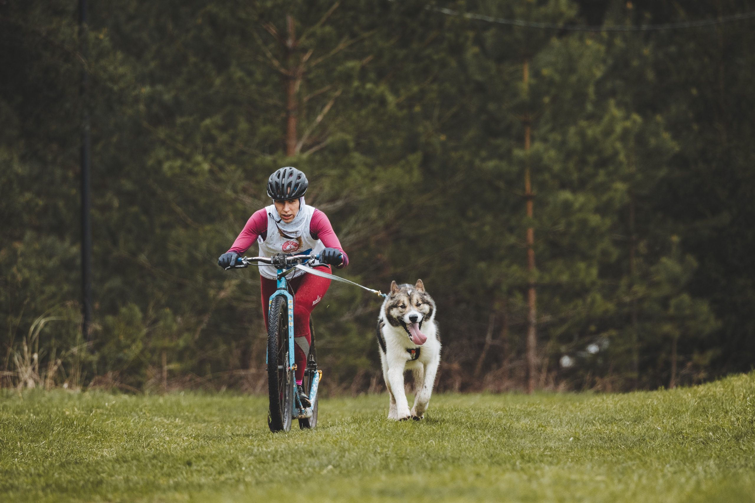 Почёвинский драйдленд. Фотограф Ирина Астор