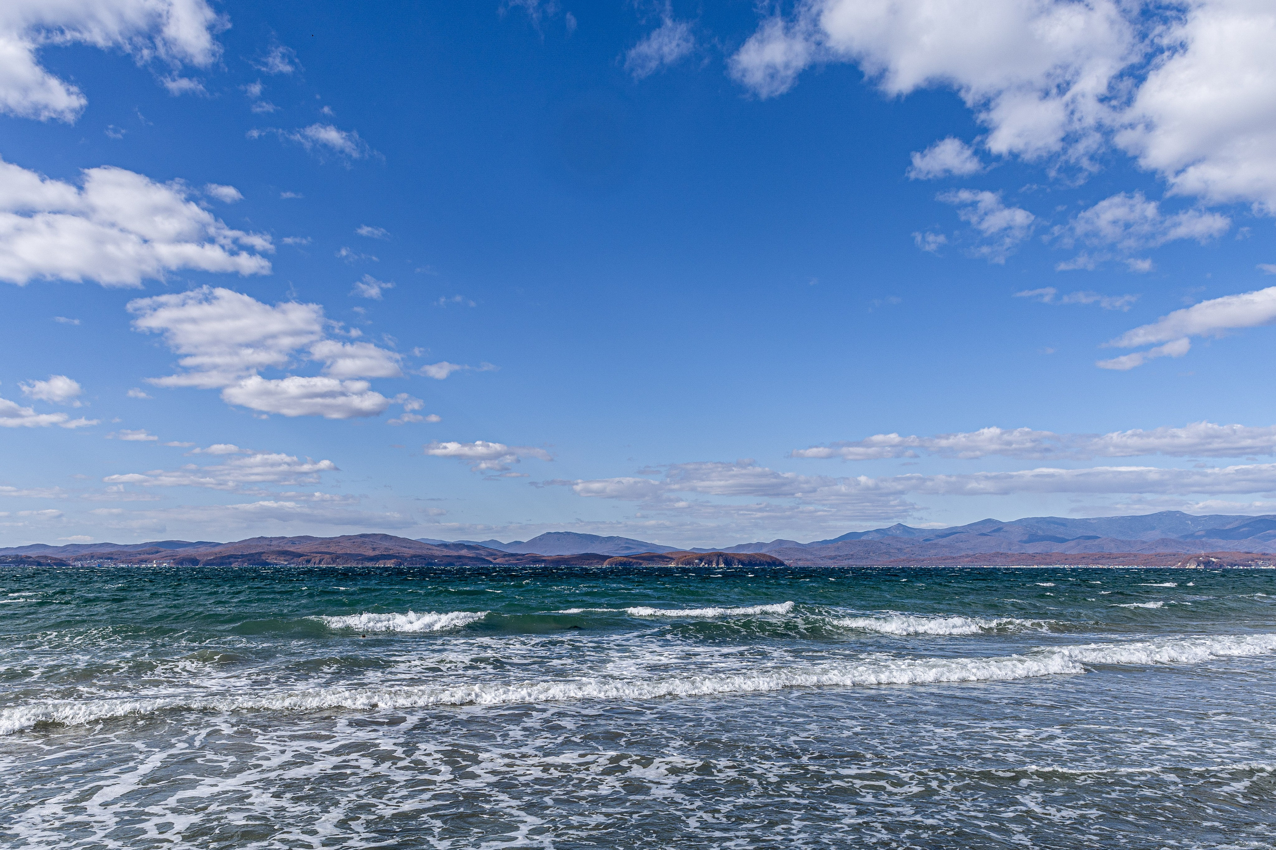 Кинологический квест г. Находка