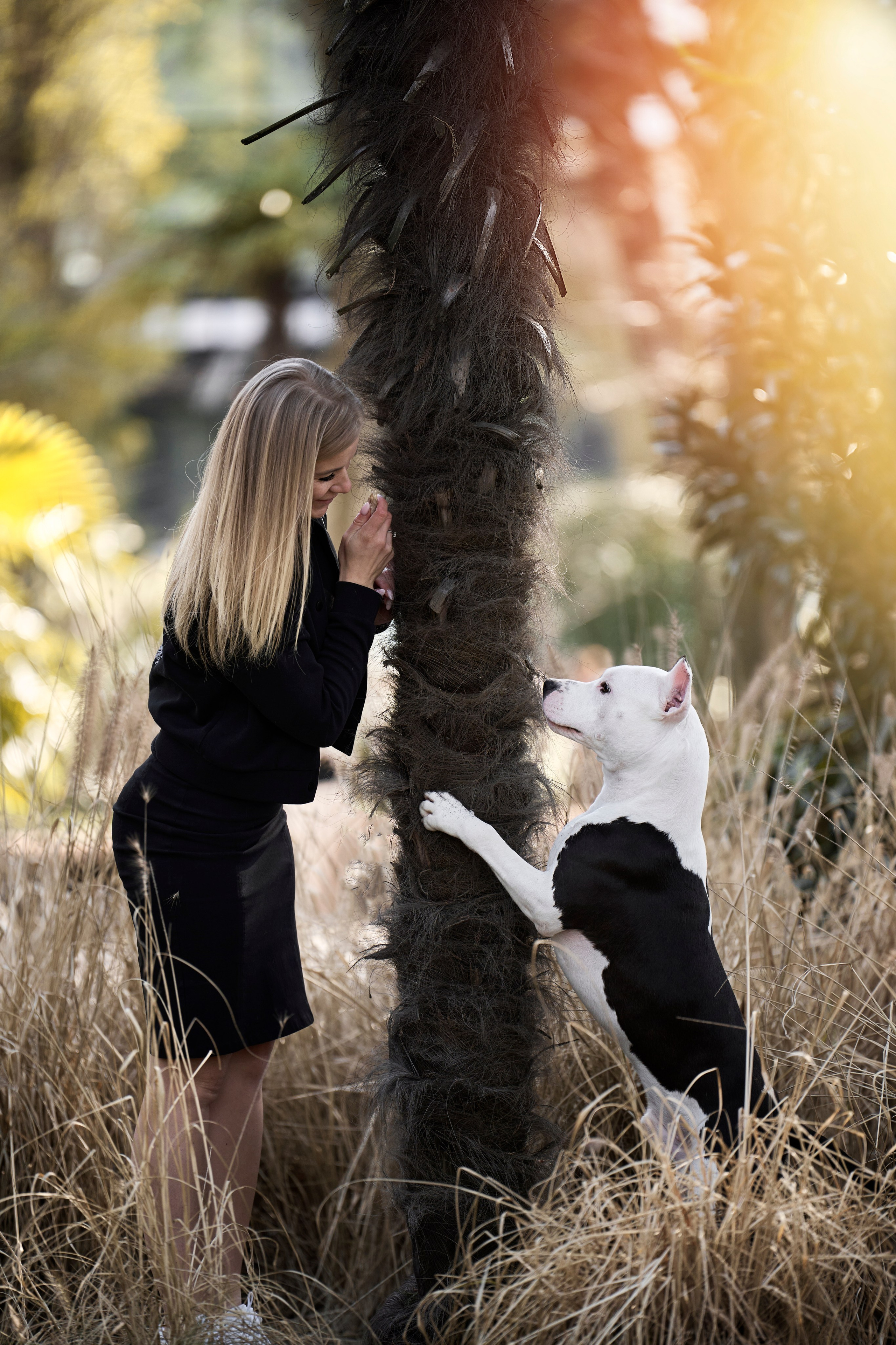 художественная фотосессия с собакой в Краснодаре 