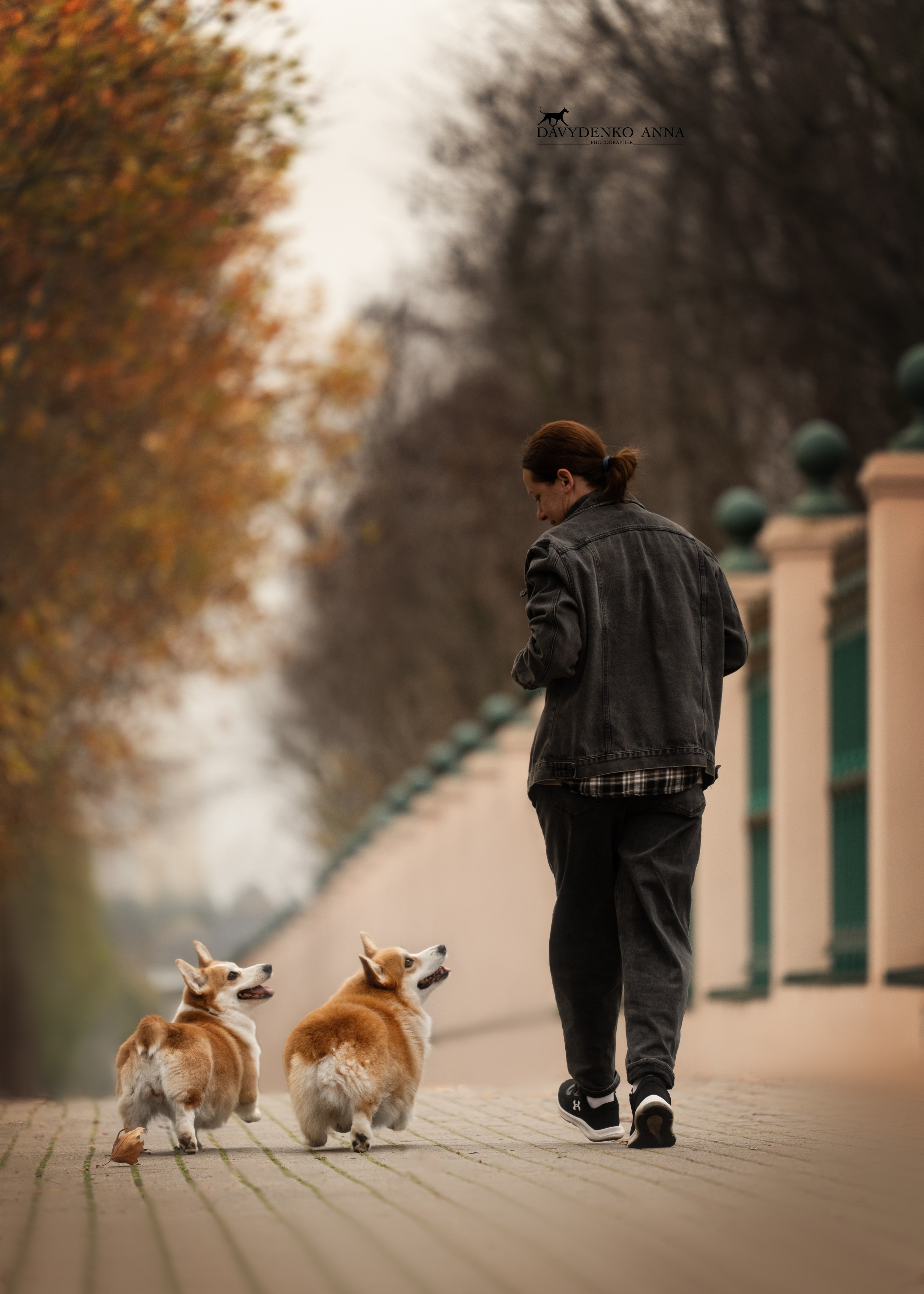 фотограф краснодар сочи , фотосессия в Краснодаре , фотограф анималист , фото с собаками , фото с животными 