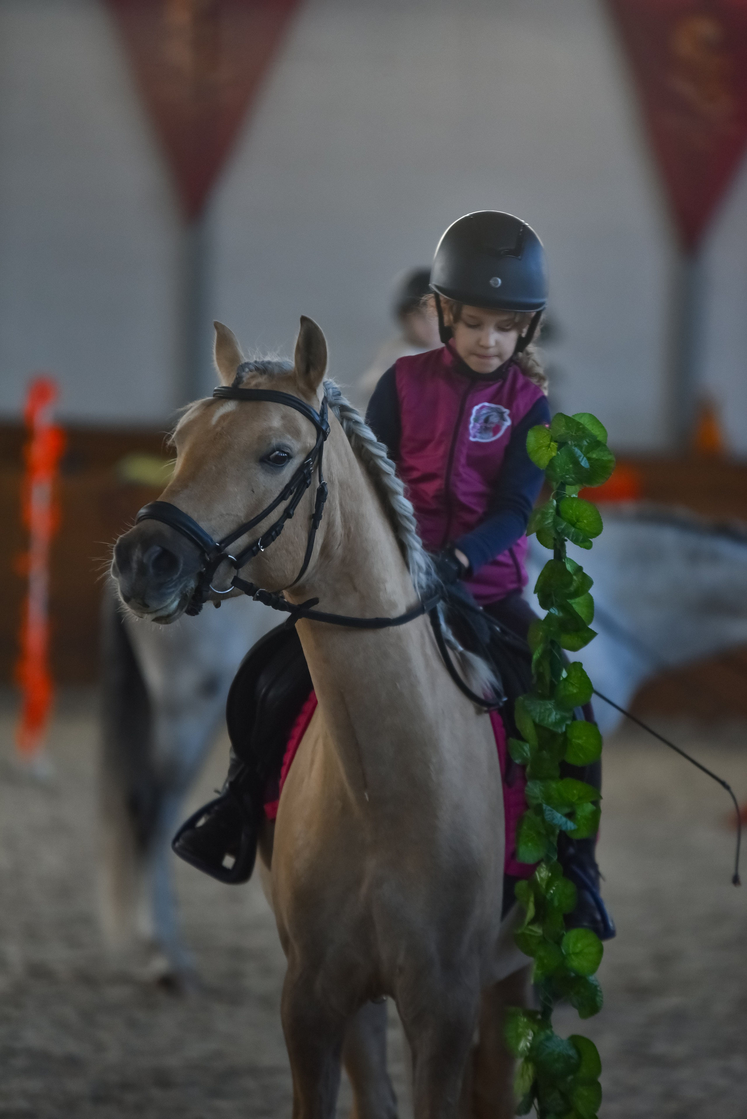 Репортажная съемка конных мероприятий. Конный фотограф из Москвы Ирина Бондаркова