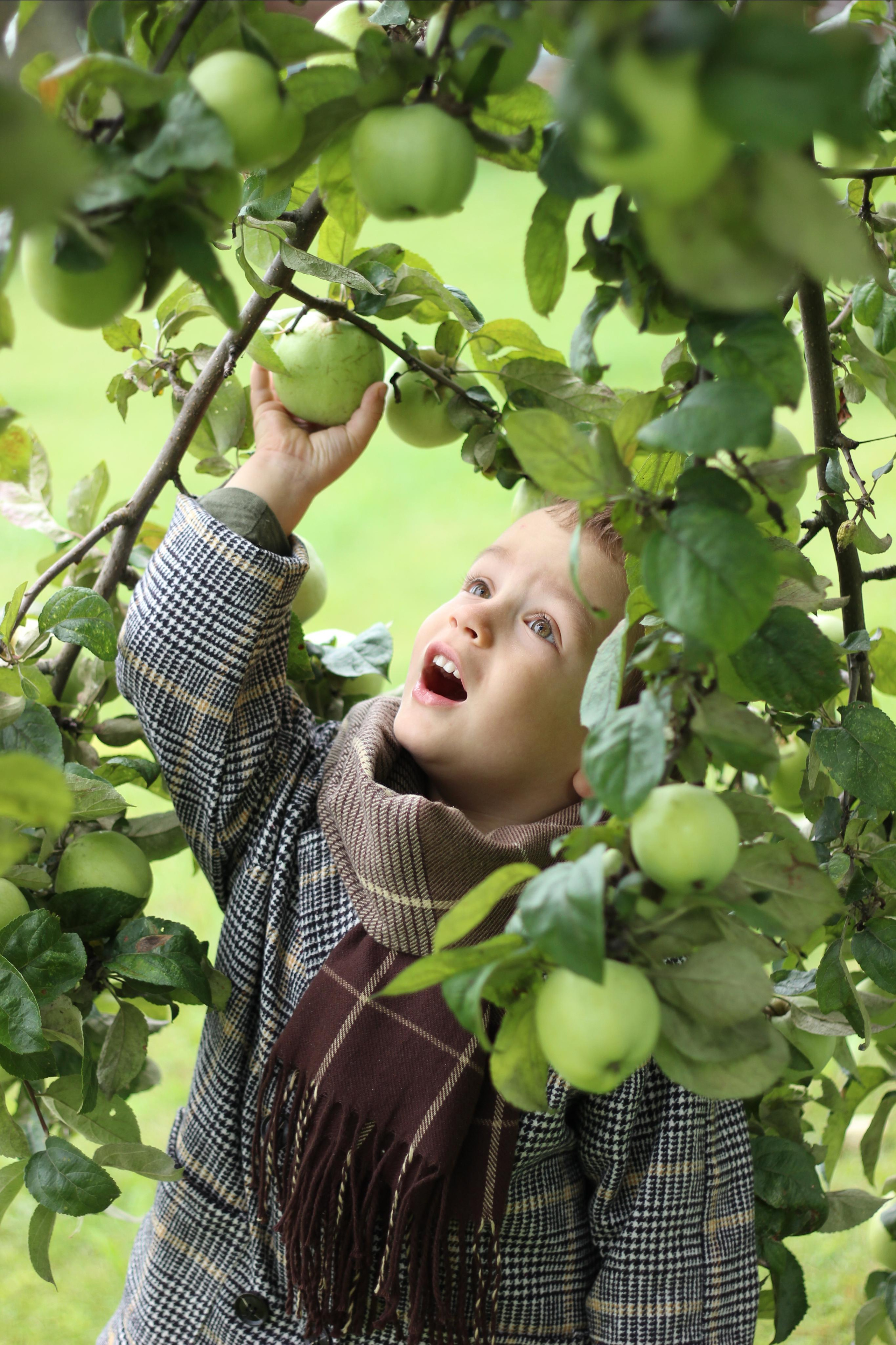 Детские съемки на природе. Семейный и детский фотограф в Москве Маклакова Алеся