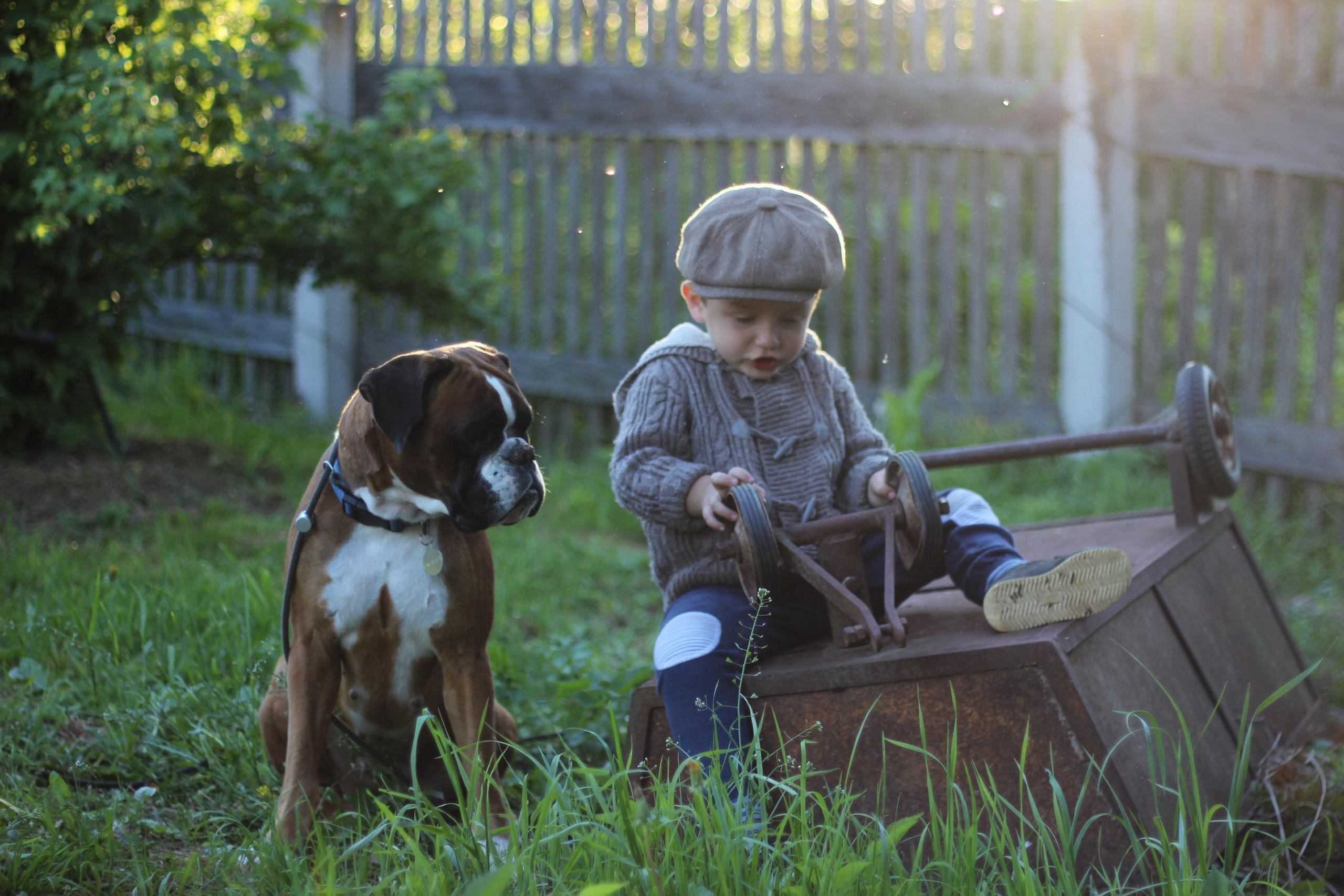 Детские съемки на природе. Семейный и детский фотограф в Москве Маклакова Алеся