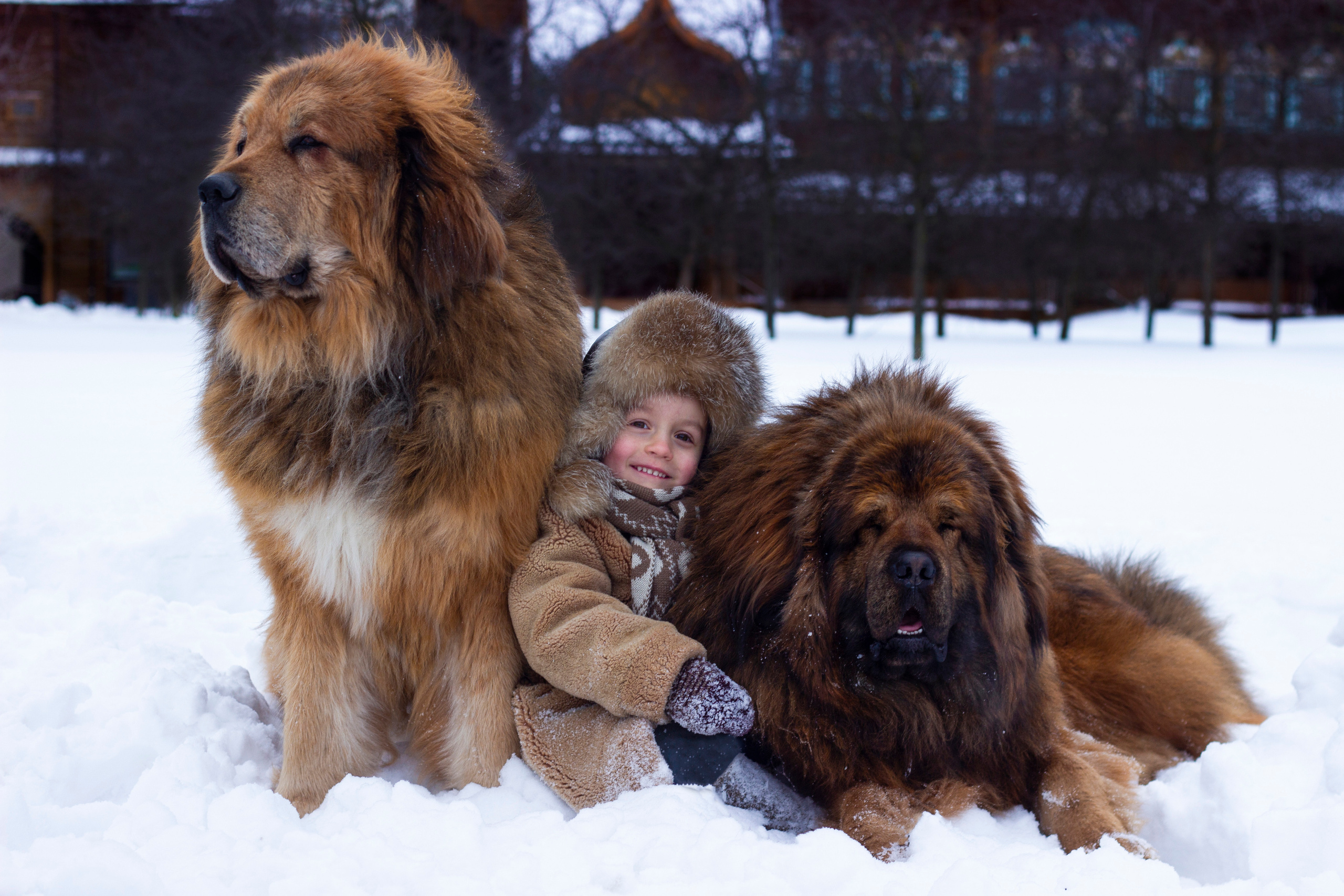 Детские съемки на природе. Семейный и детский фотограф в Москве Маклакова Алеся