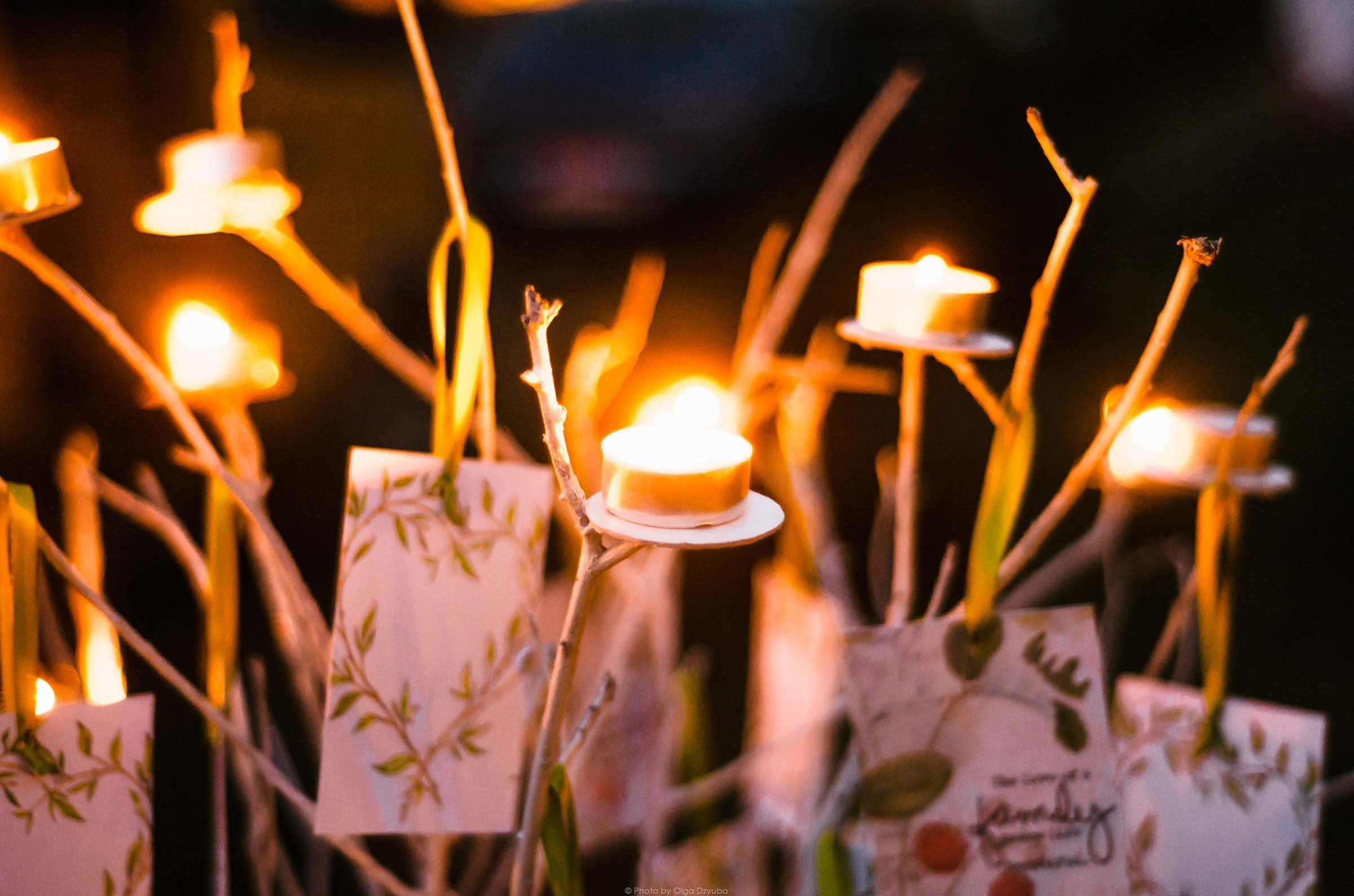 Камерная и уютная свадьба Алены и Сергея в г.Пятигорск. Свадебный фото. Фотограф Ольга Дзюба. Фототерапия как зеркало души. КМВ