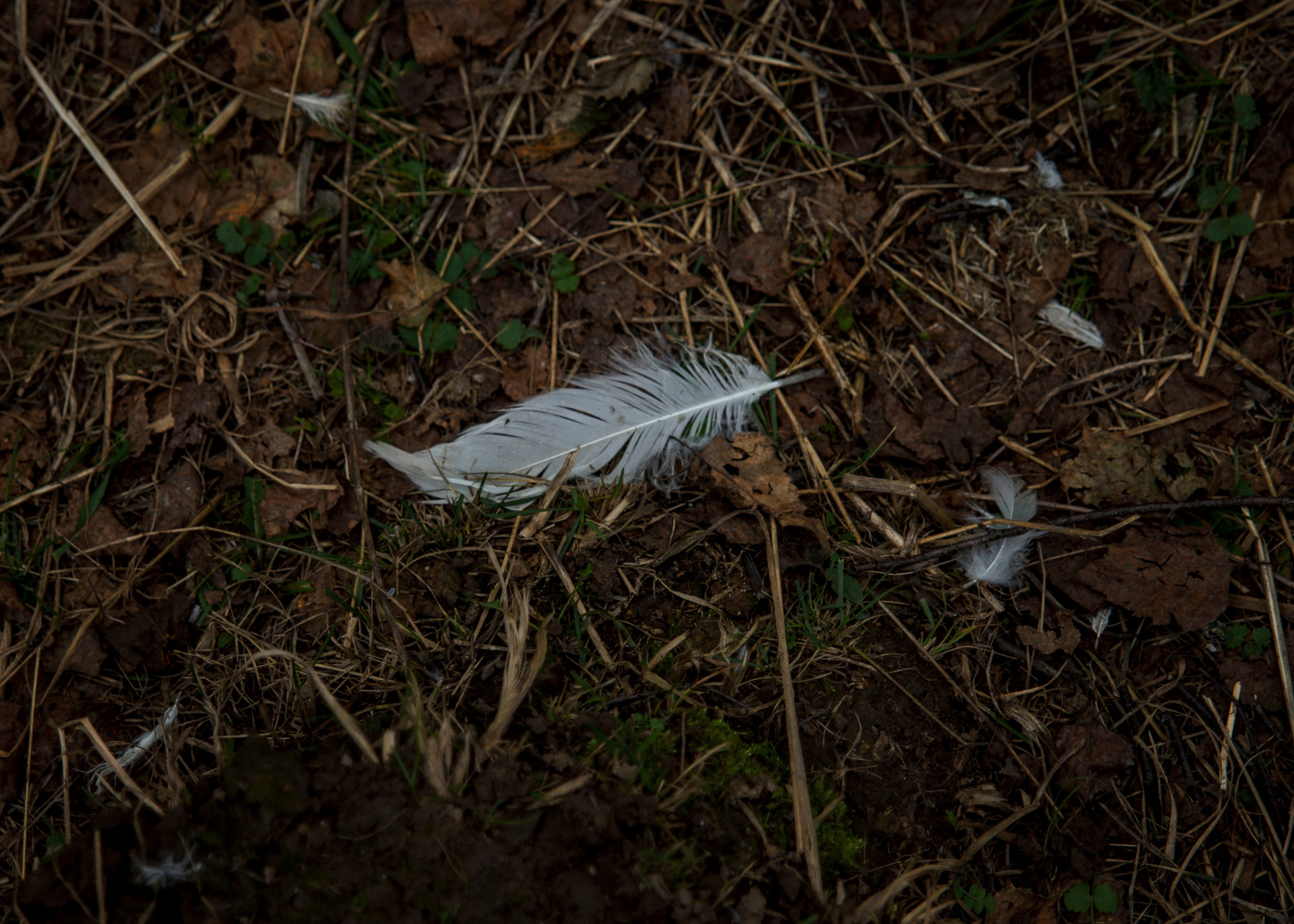 Backstage со съёмок фильма «Reverenсе». Портретный фотограф в Москве Дарья Цезария