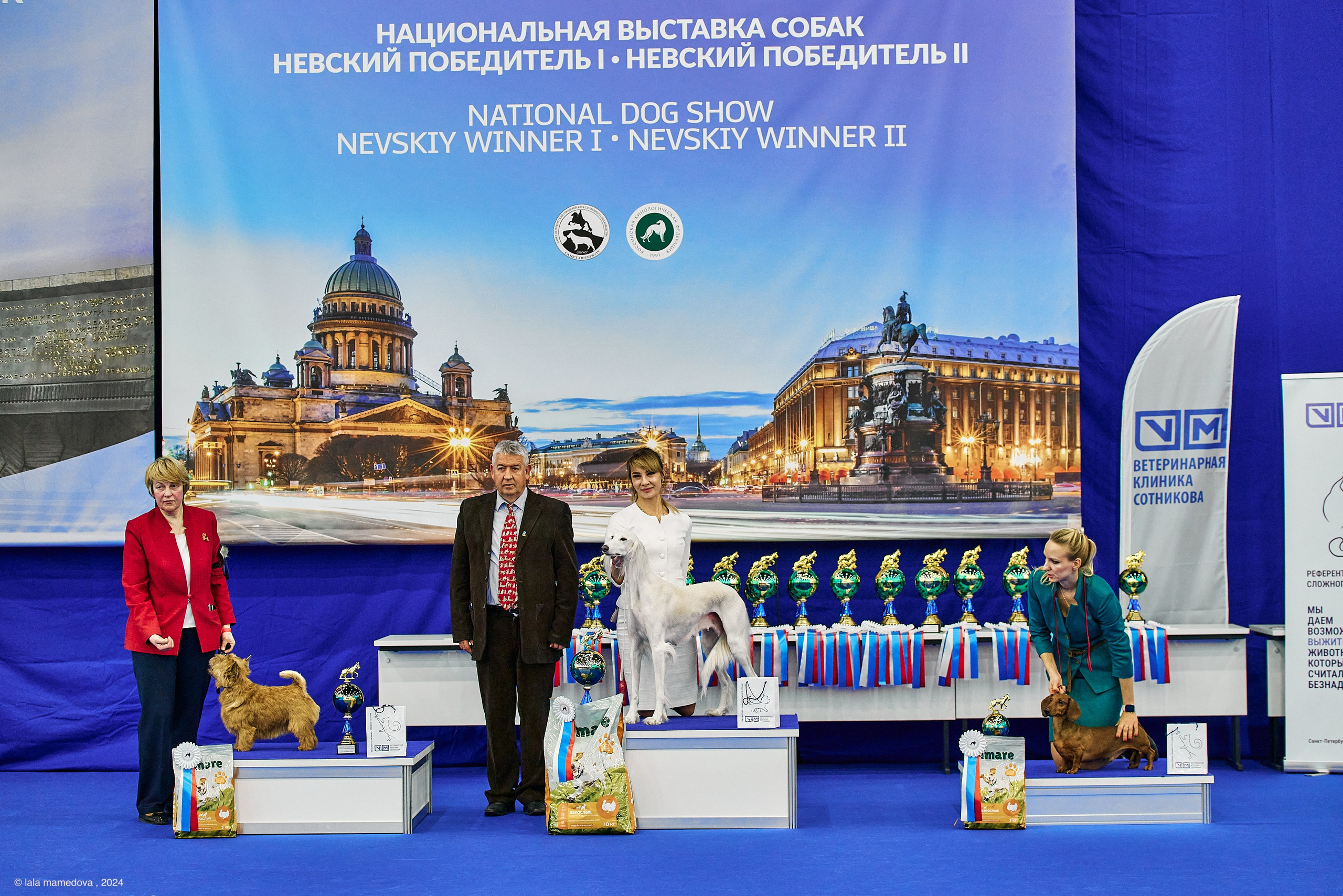 РЕЙТИНГОВАЯ ВЫСТАВКА СОБАК ВСЕХ ПОРОД С ОСОБЫМ СТАТУСОМ"НЕВСКИЙ ПОБЕДИТЕЛЬ-2024-2"