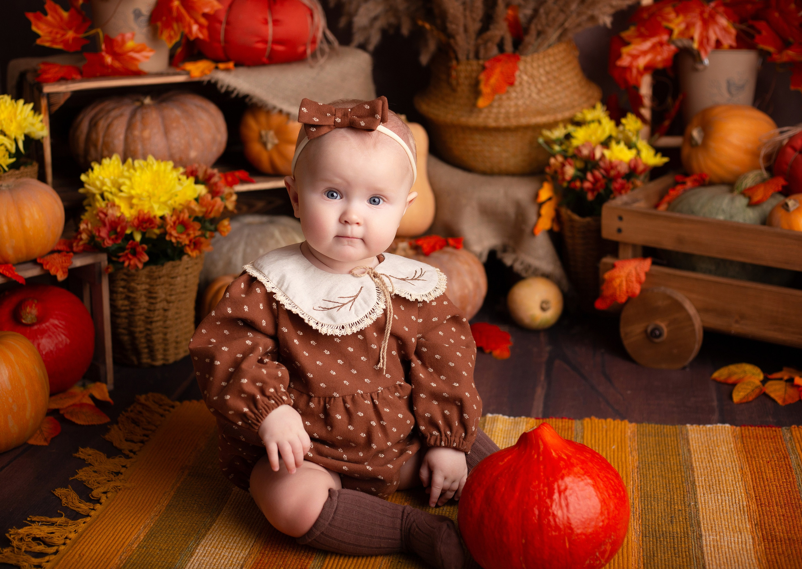 Фотопроекты. Детский фотограф в Няндоме Ариана Арсеньева