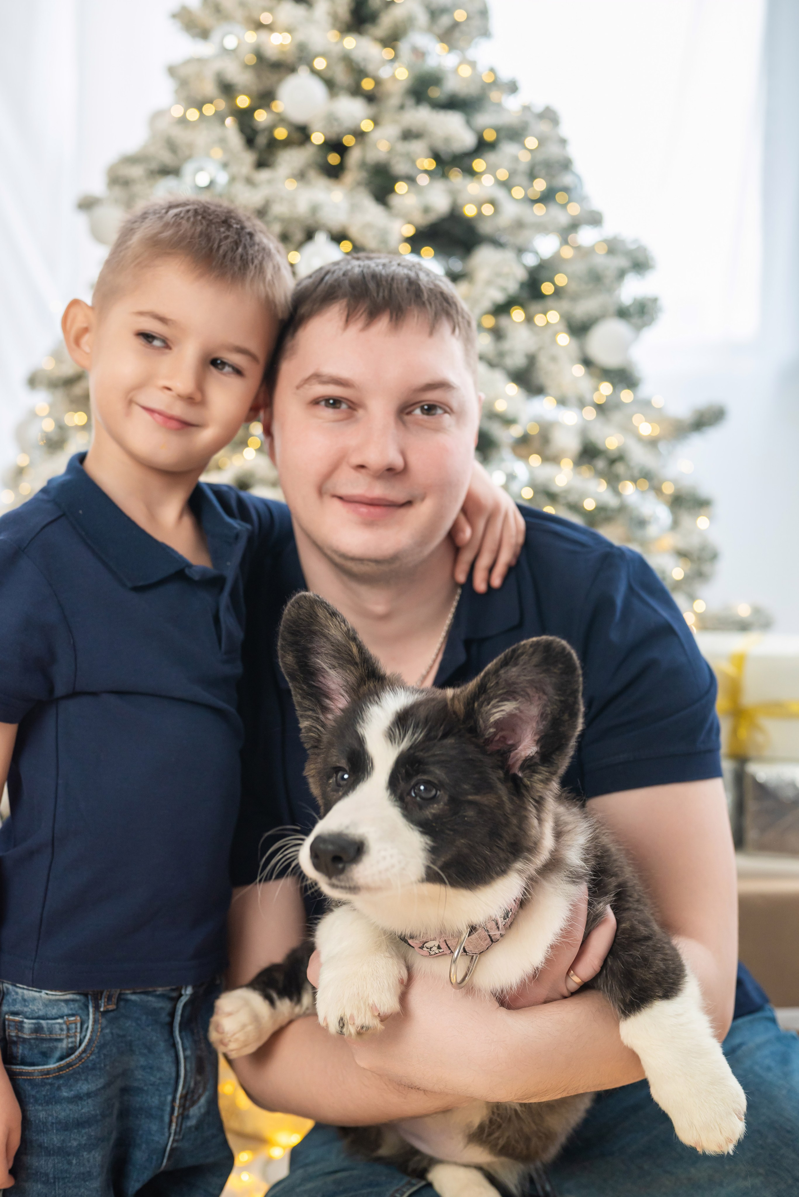 Фотопроект с корги. Фотограф в городе Салават