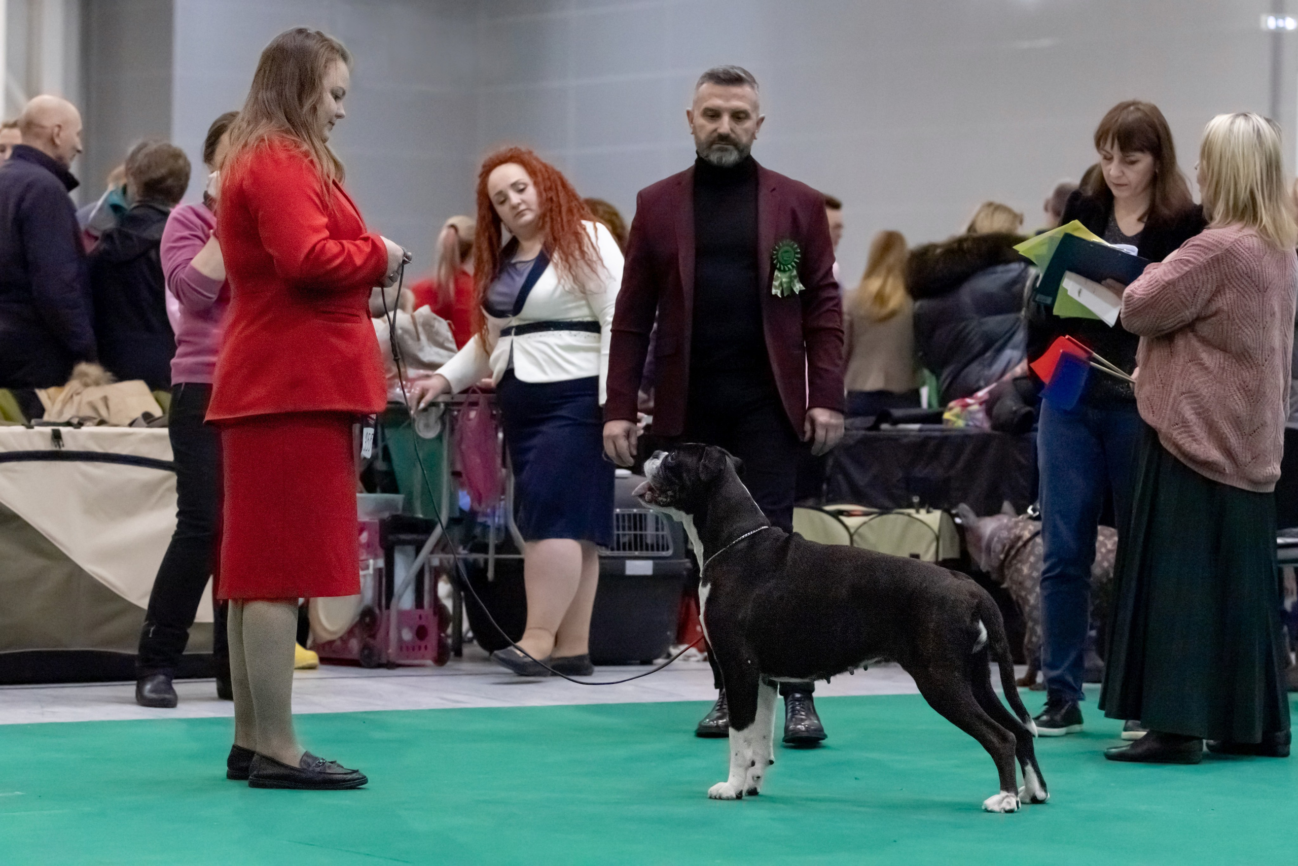 Выставки. Фотограф — анималист в Москве и области Ольга Петракова
