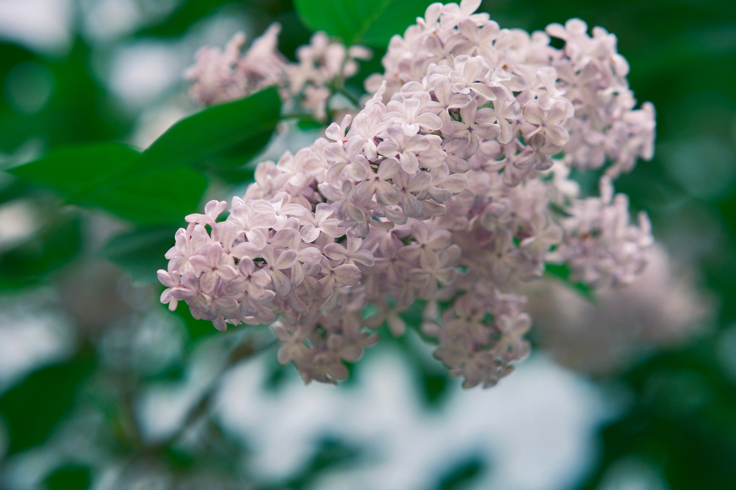 Фотограф Москва. Фотограф и художник в Москве Евгения Нюнина