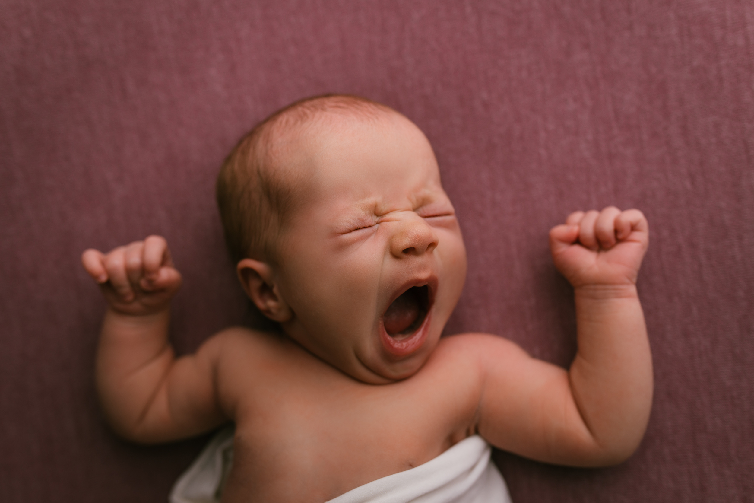 Майя. 2 недели. Фотограф новорожденных Екатеринбург