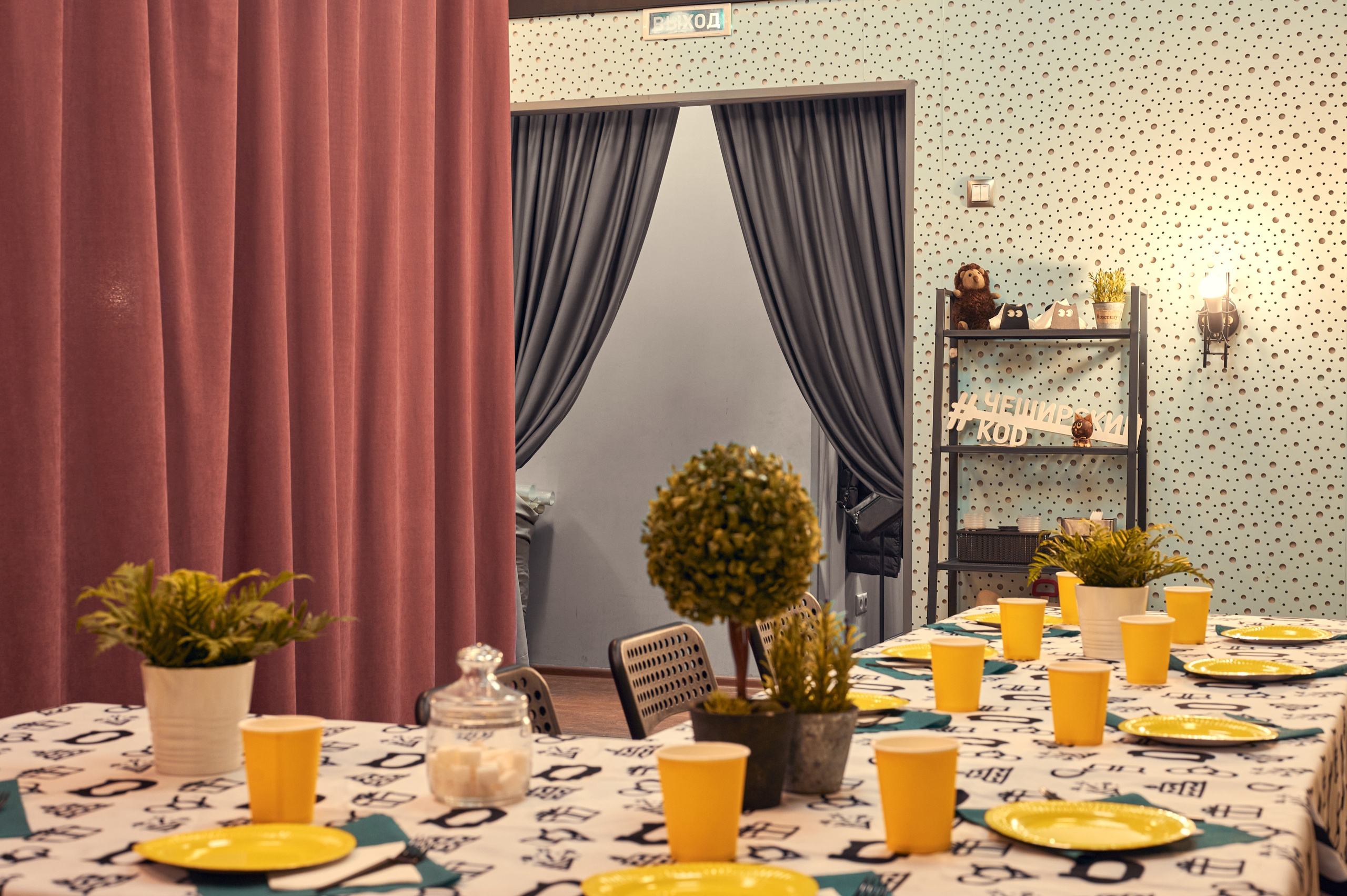 Чеширский Коd — 5 локаций. Фотограф Яковлев Роман — Красноярск