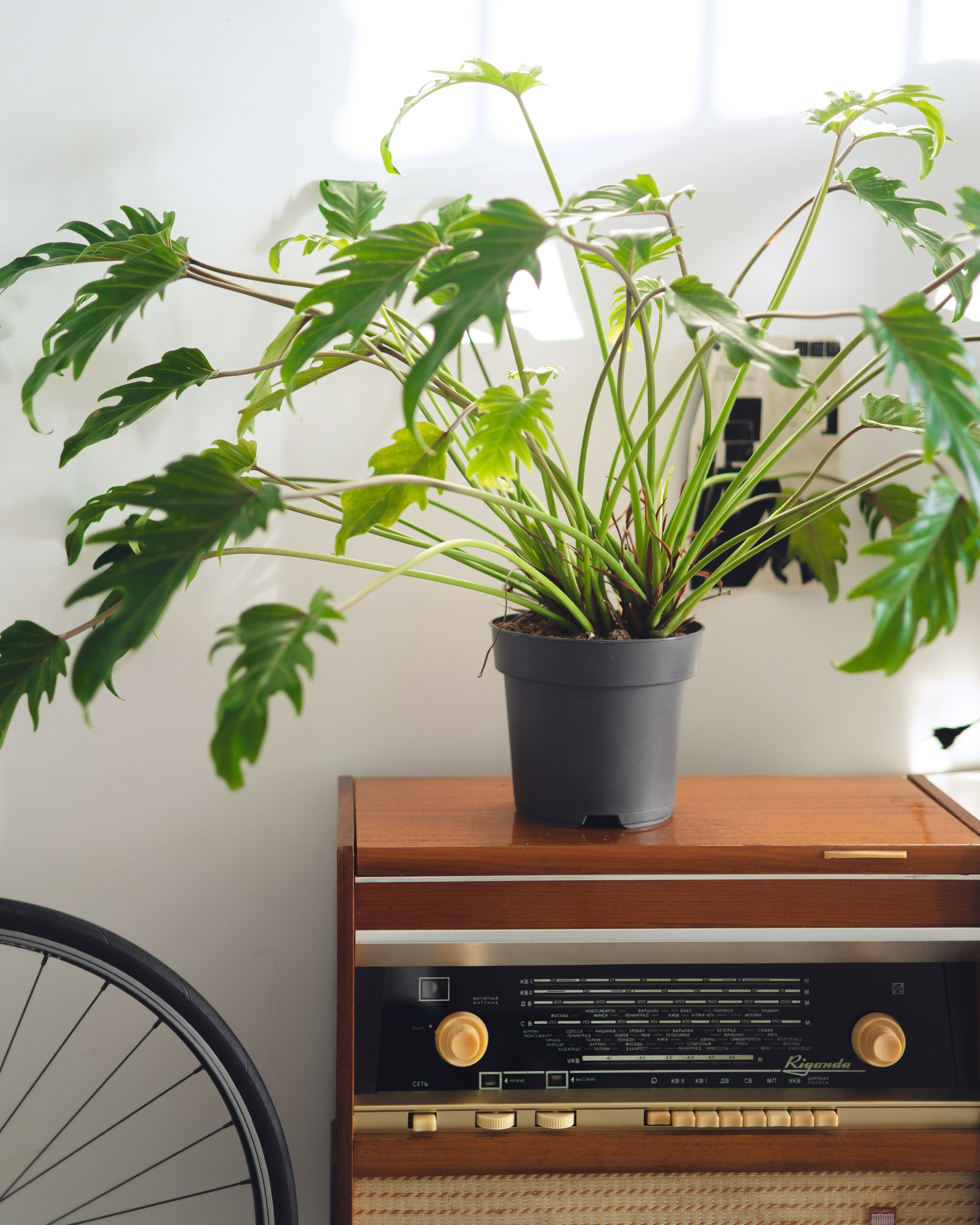 Предметная съемка для бизнеса. Фотограф в Санкт-Петербурге Осокина Елизавета