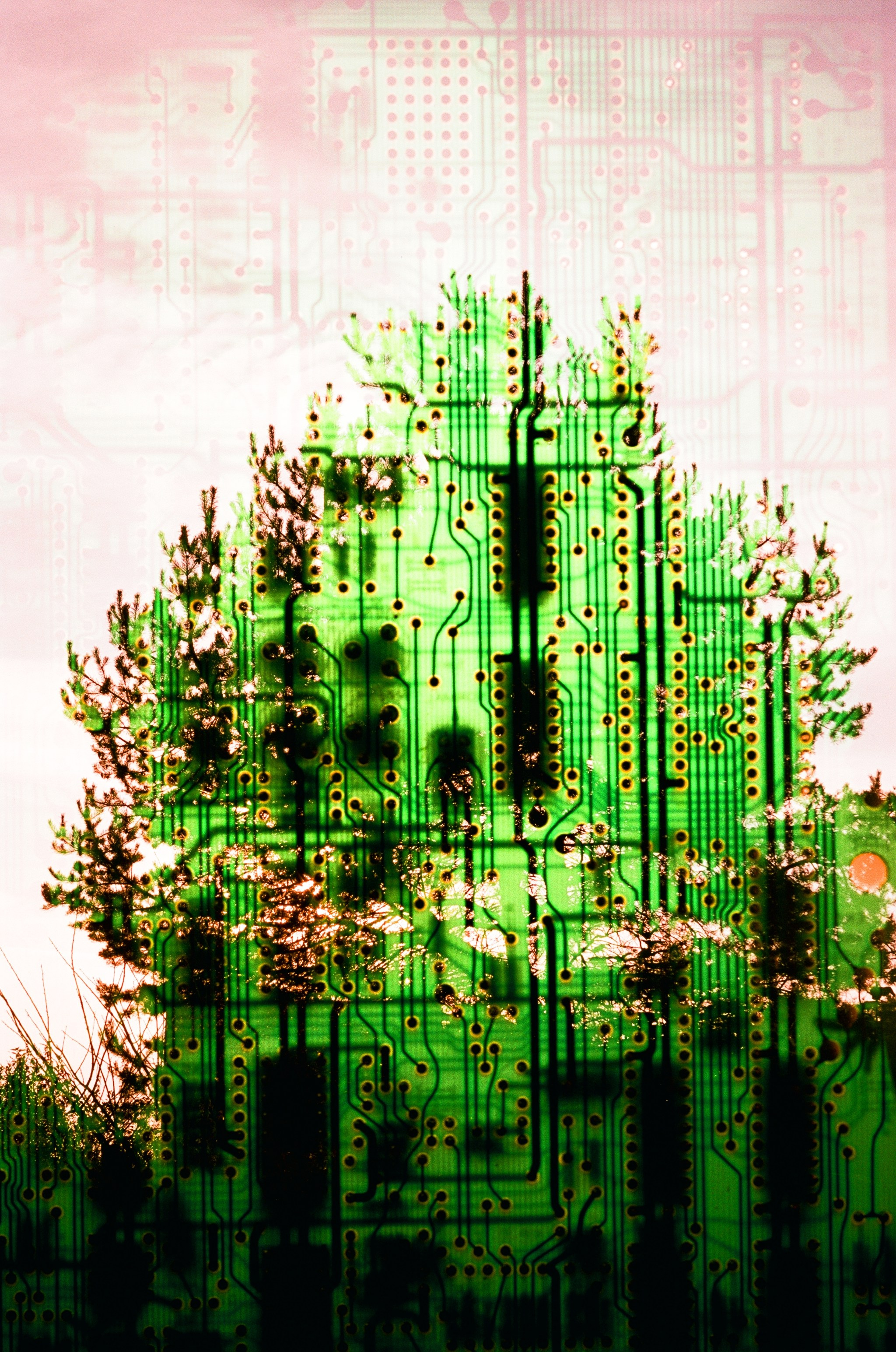 Автор: Анастасия Пиганова