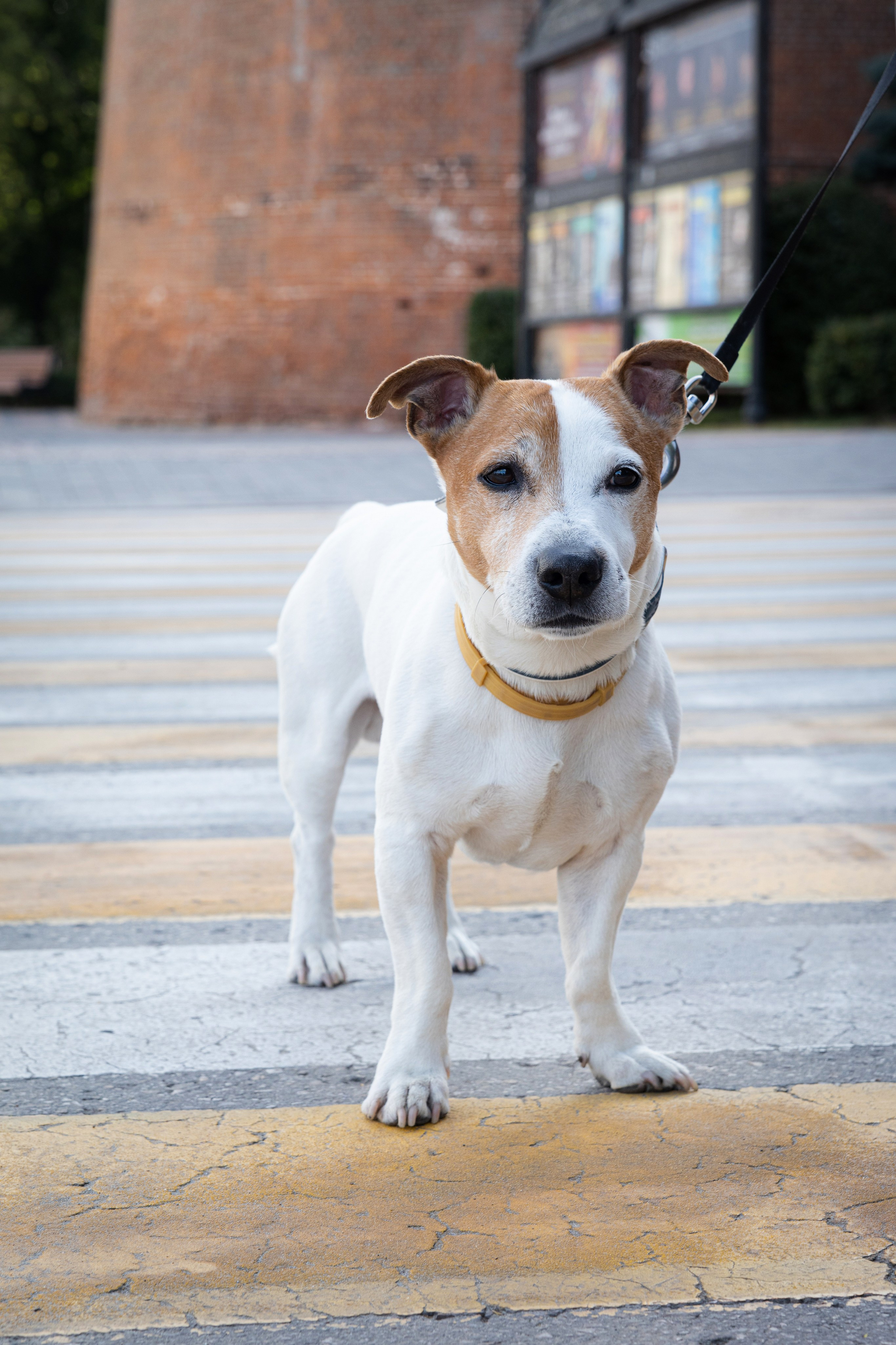 Прогулочная фотосессия в городской среде. Фотограф Лабутина Александра. Портретный и репортажный фотограф из Нижнего Новгорода Александра Лабутина