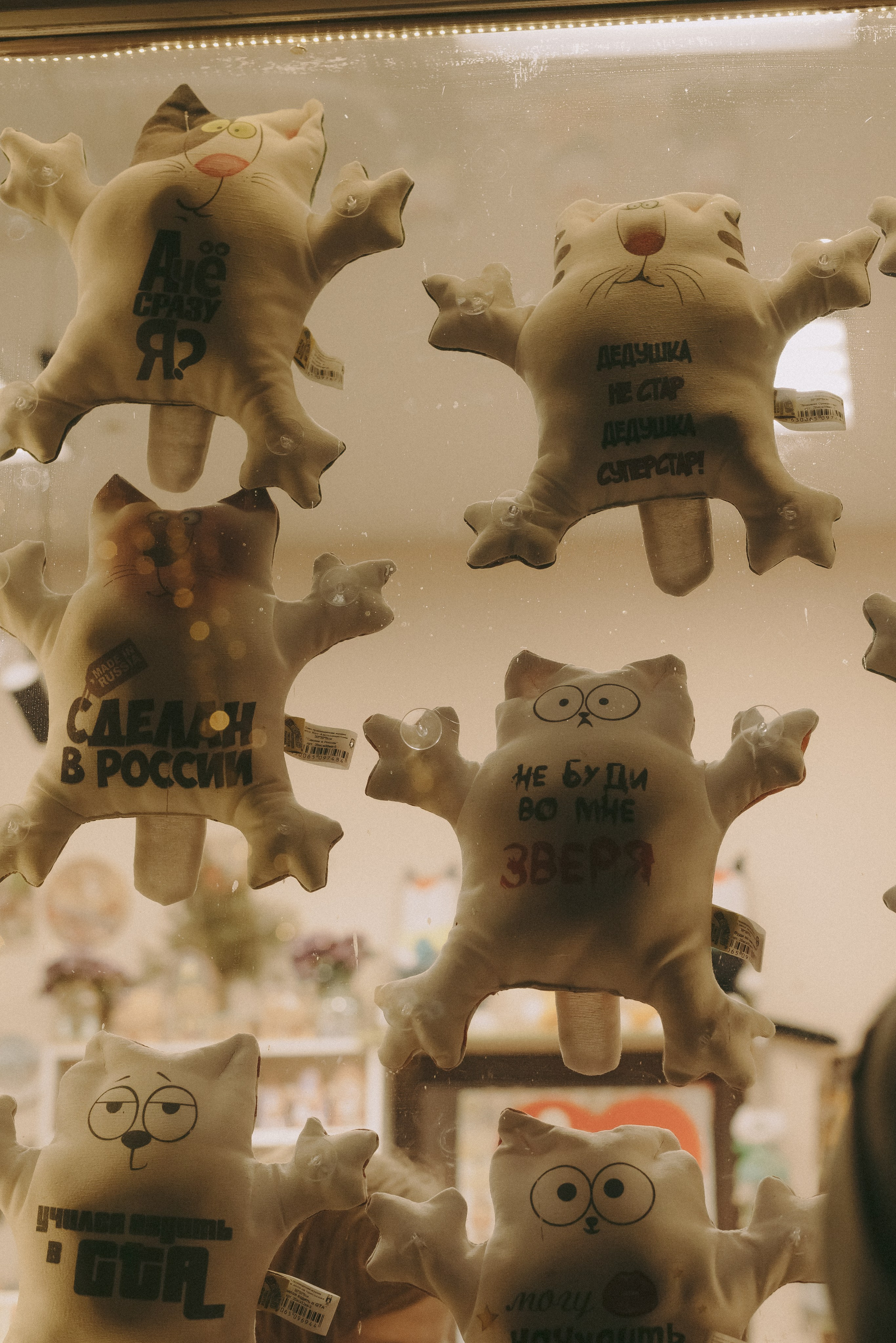 Марина и Валентин_30 морозных минут!. Фотограф Зеленоградск Красильникова Елена