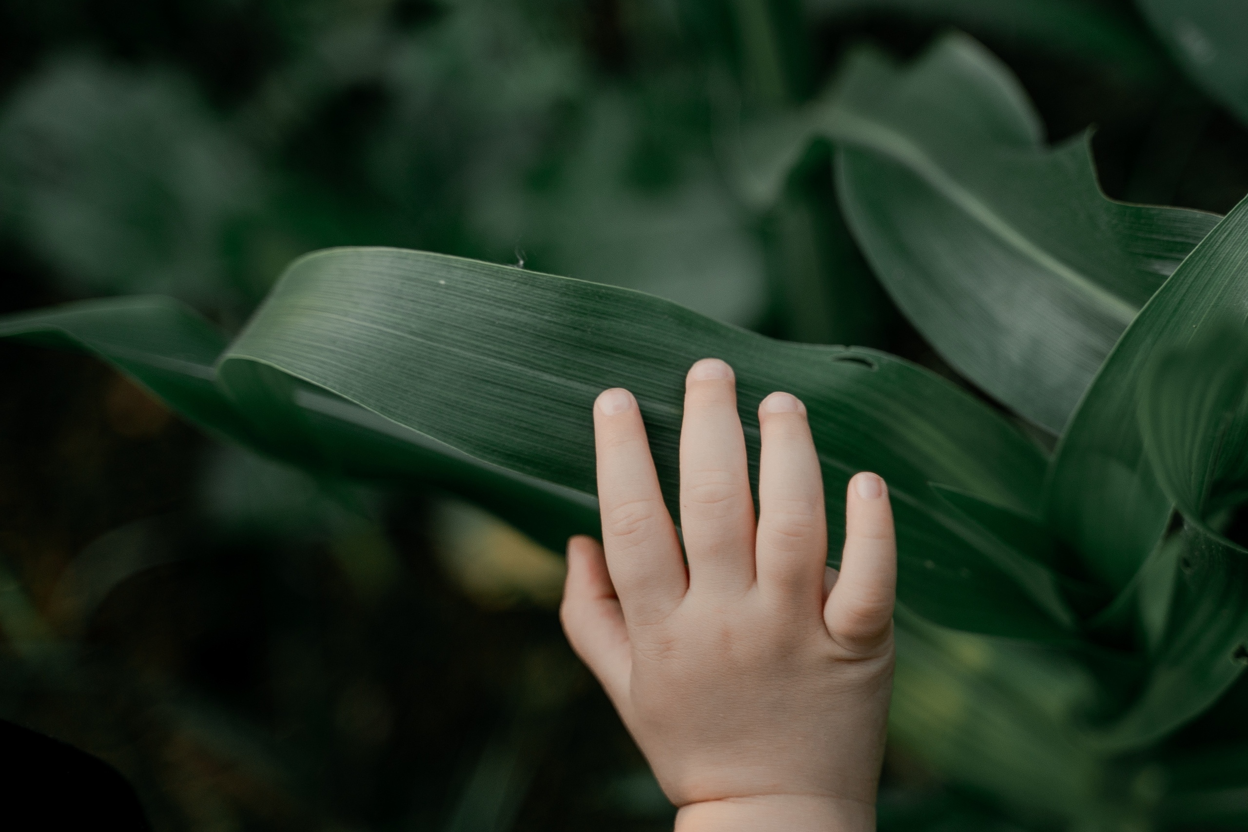 Семейный. Анна Войнова семейный фотограф в Санкт-Петербурге