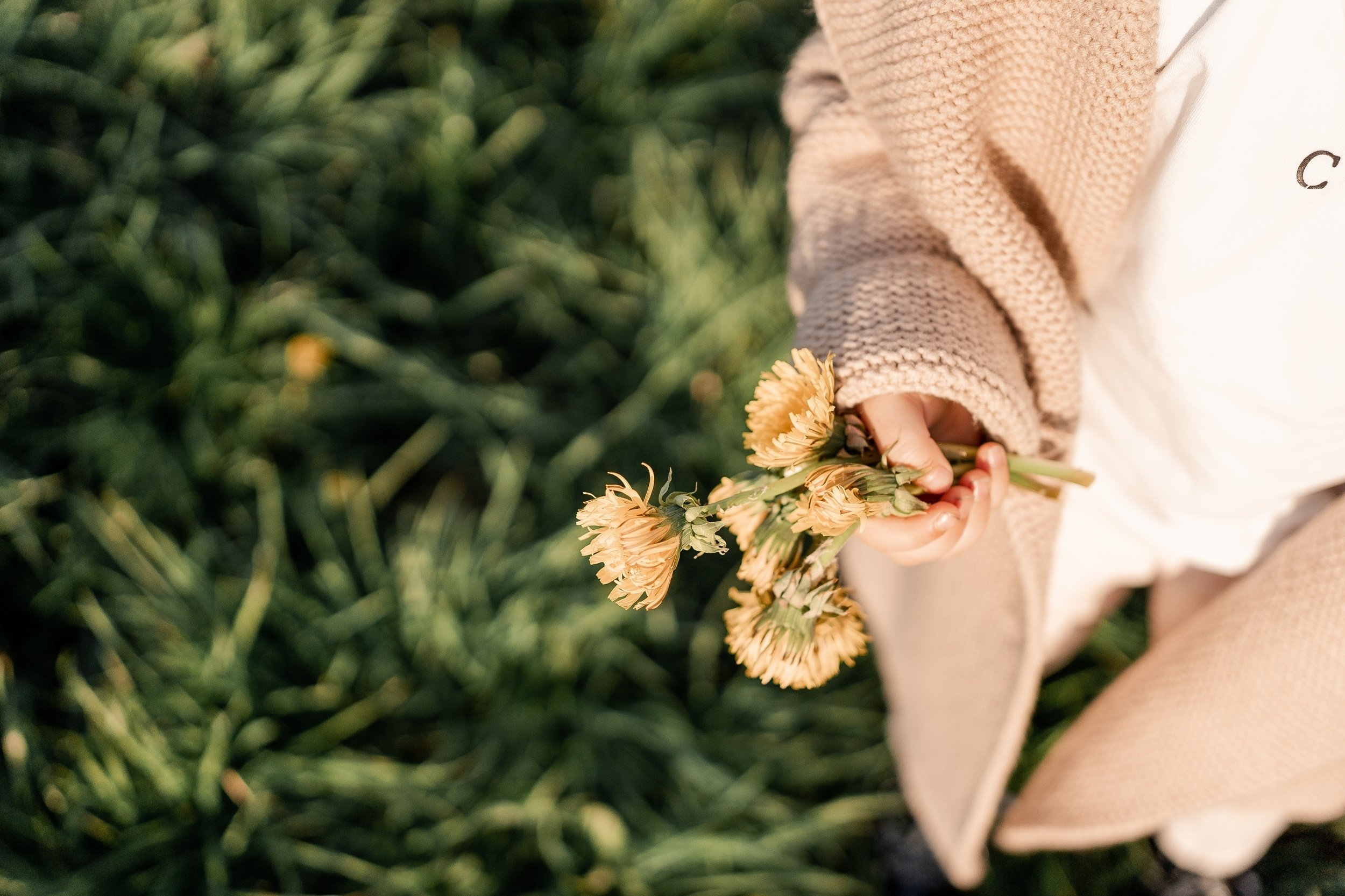 Семейный. Анна Войнова семейный фотограф в Санкт-Петербурге