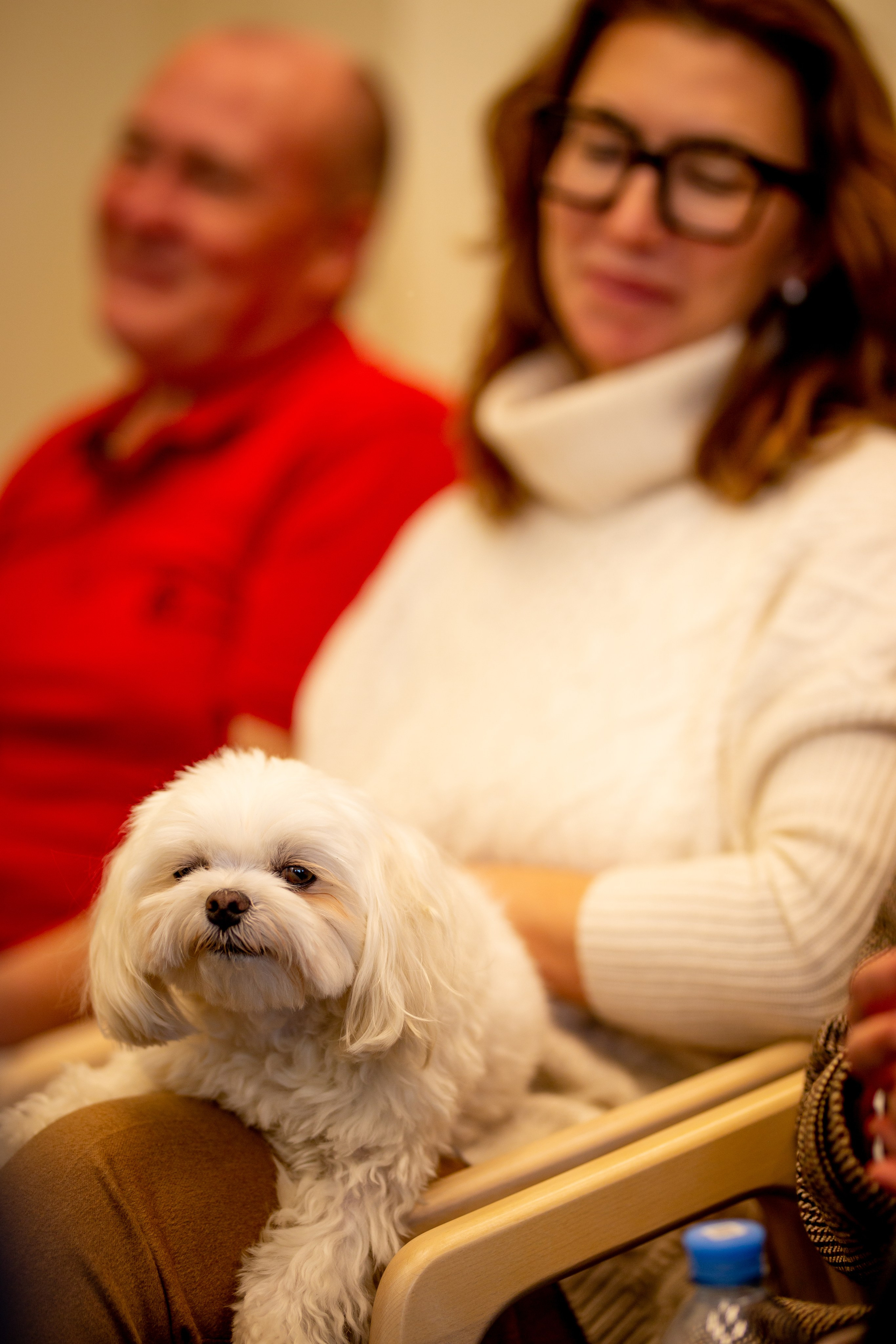 Семинар по Земледелию. Церес. Фотограф в Крыму